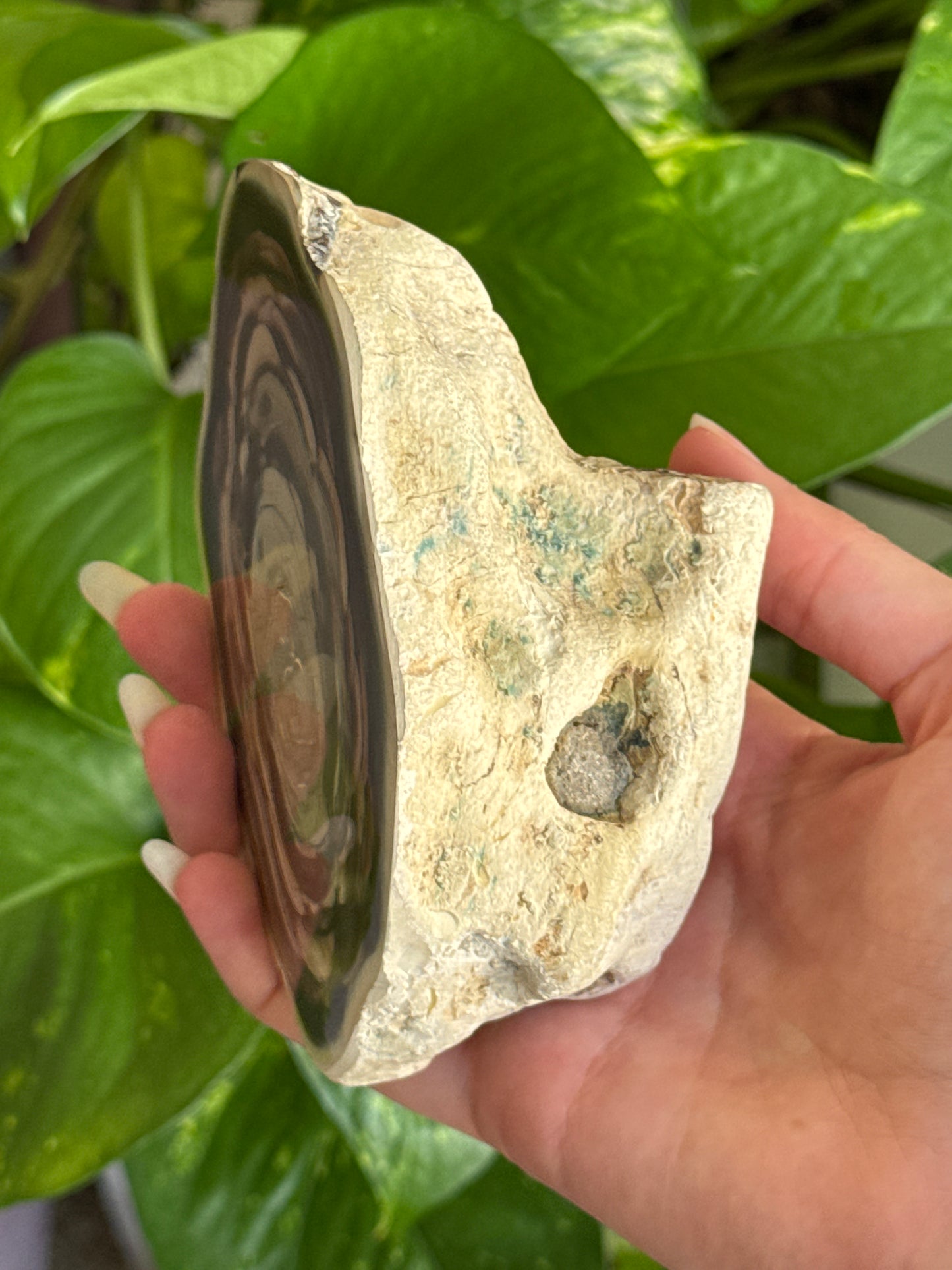 Large Statement Imperial Jasper Half Geode B