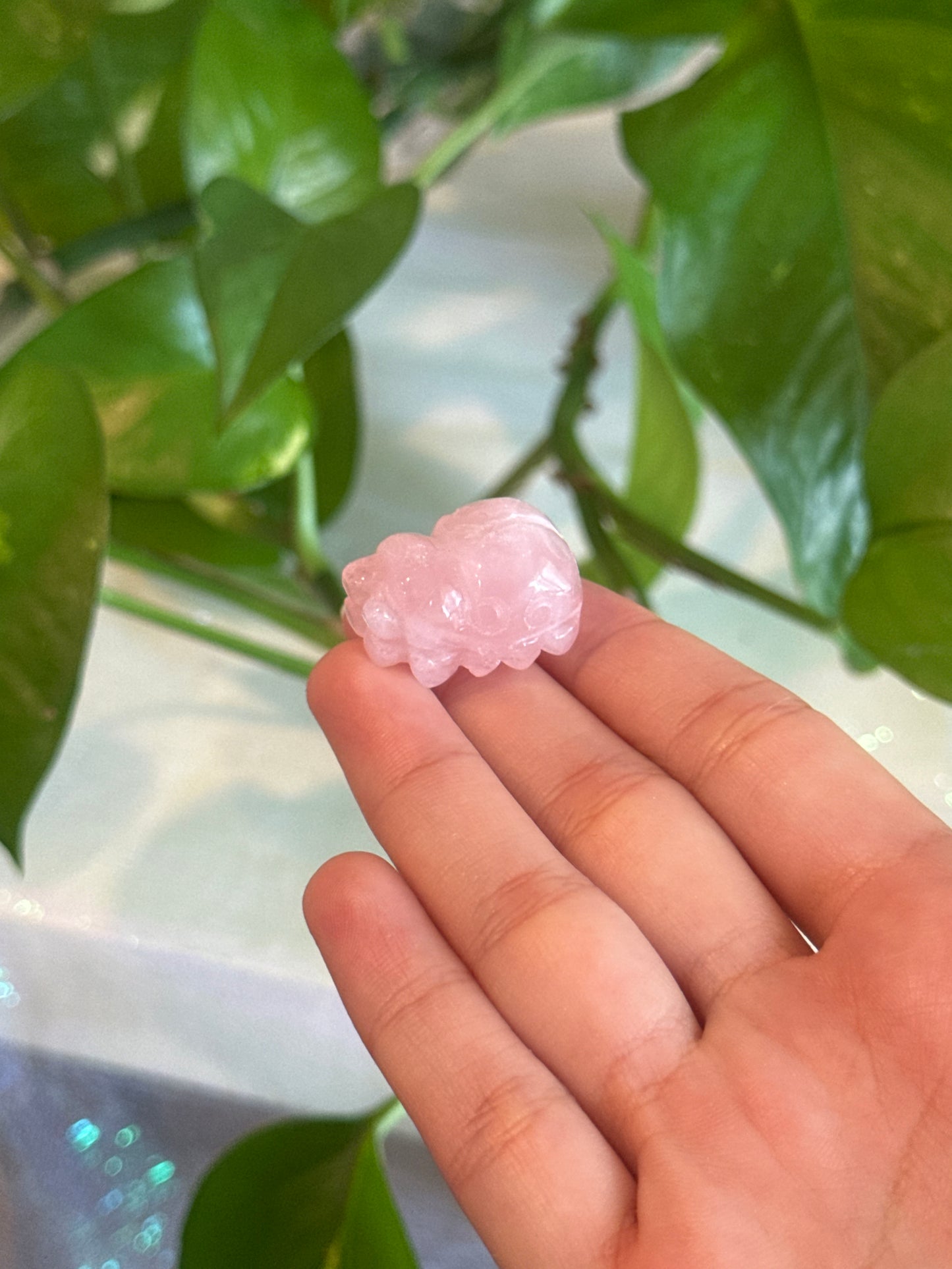 Rose Quartz Ladybug Carving