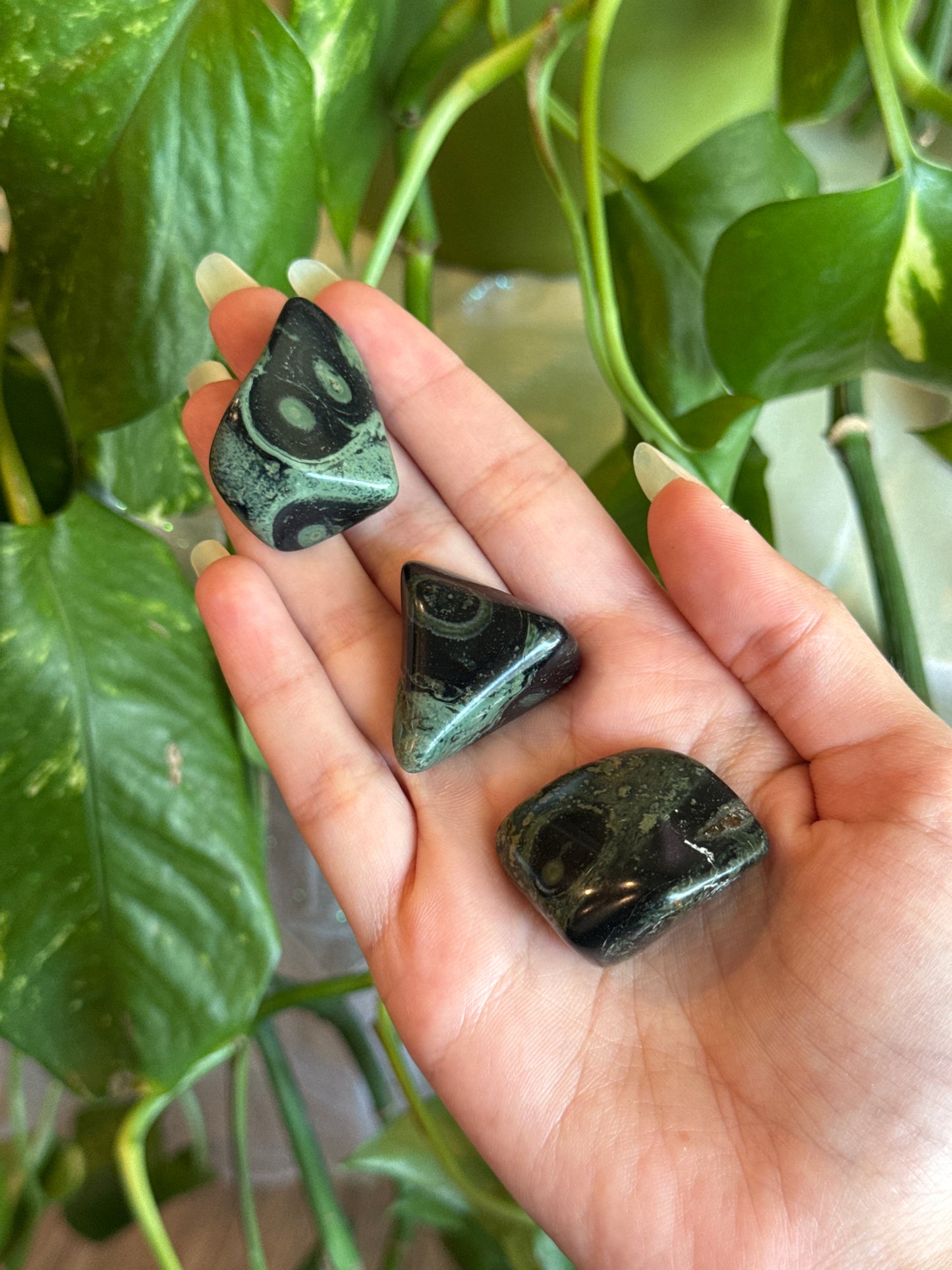 Kambaba Jasper Tumble