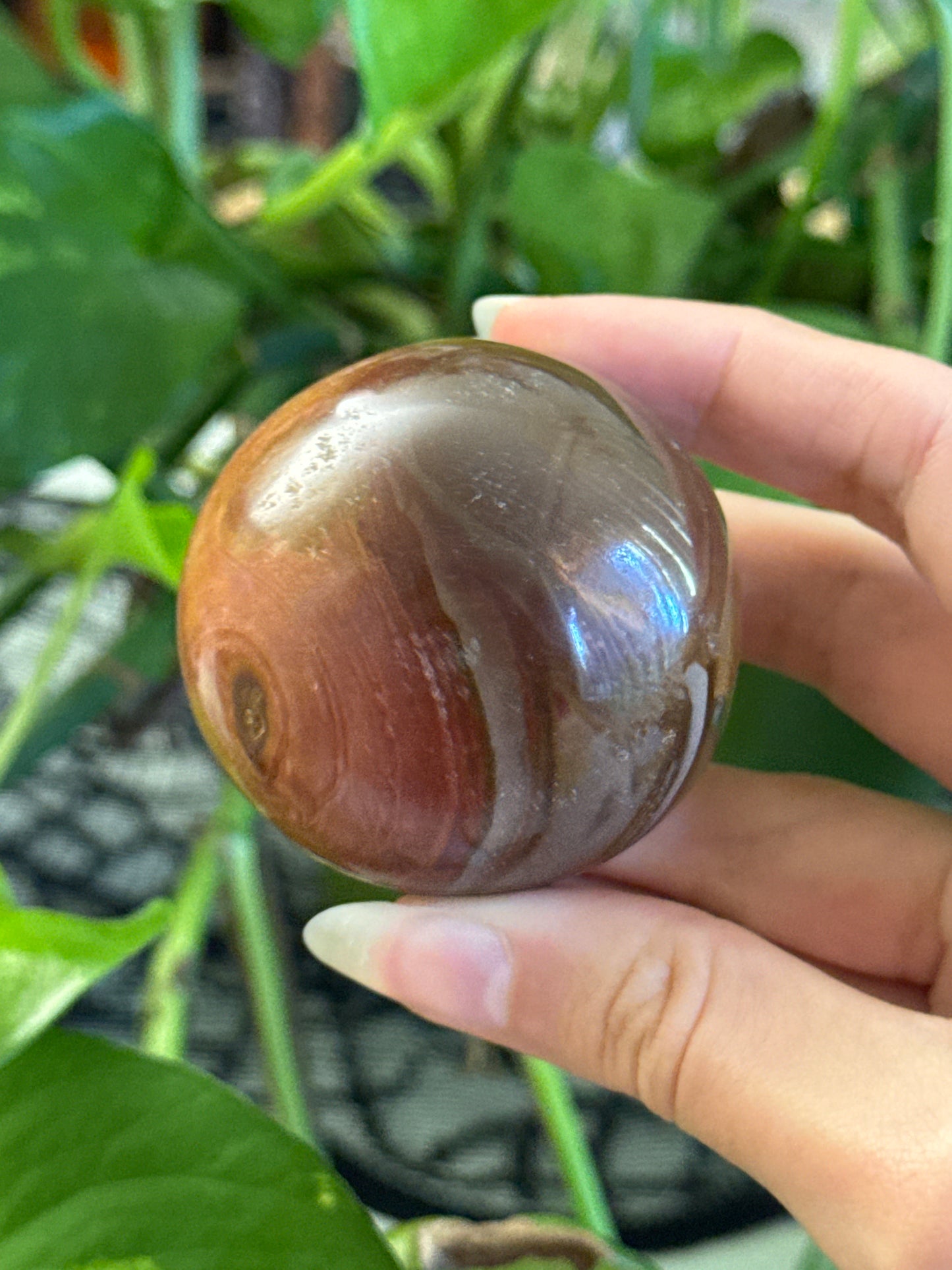 Polychrome Jasper Sphere-like Palmstone