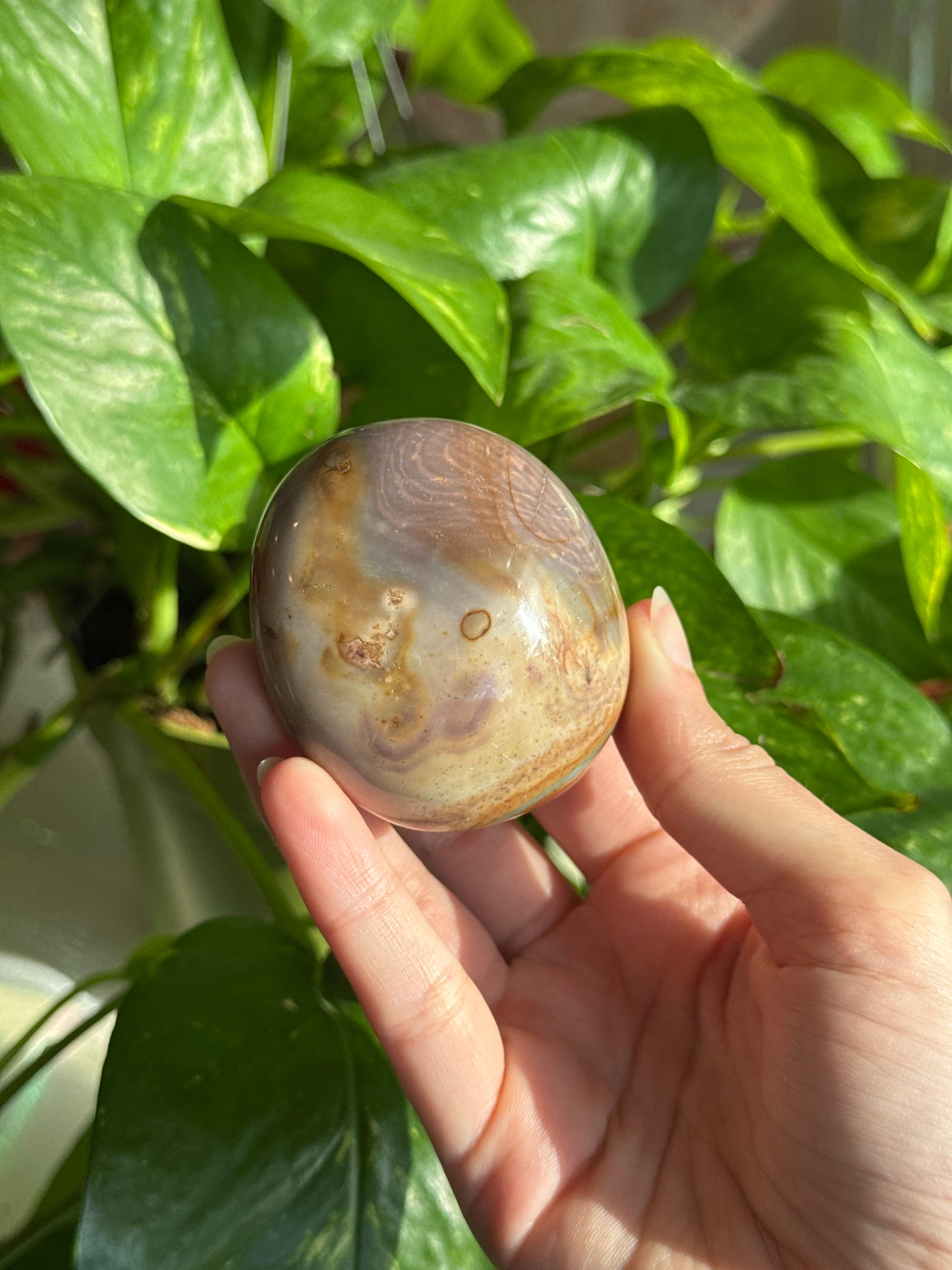 Pastel Polychrome Jasper Palmstone