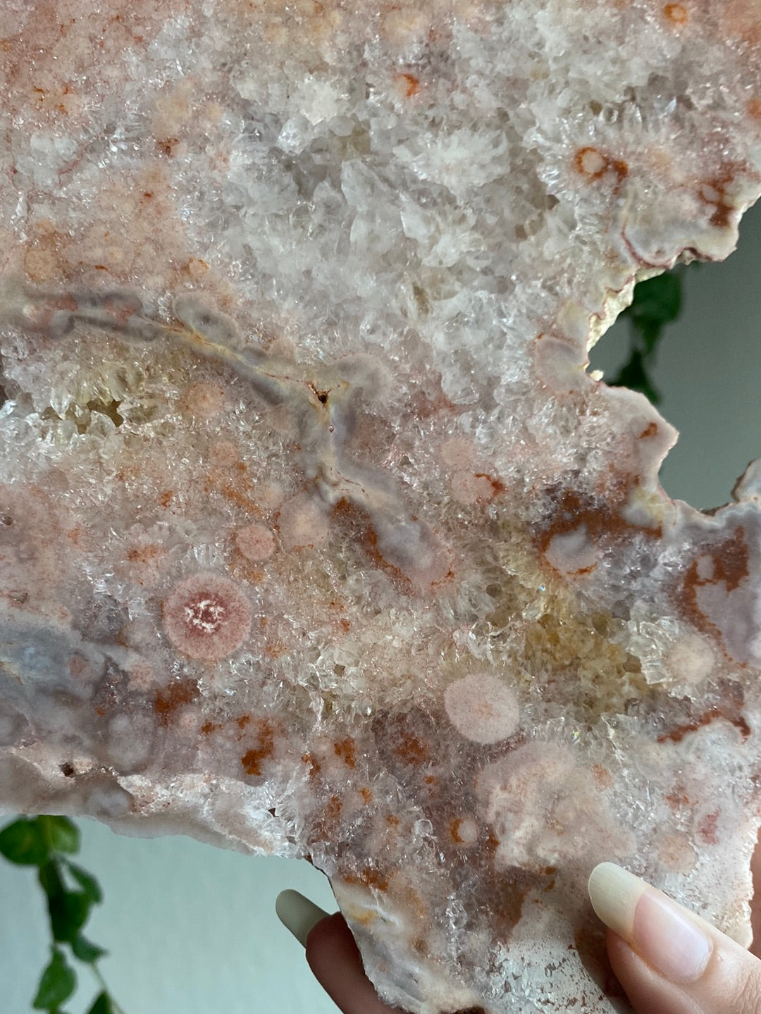 XXL Druzy Pink Amethyst Slab (11” & 3.1lbs)