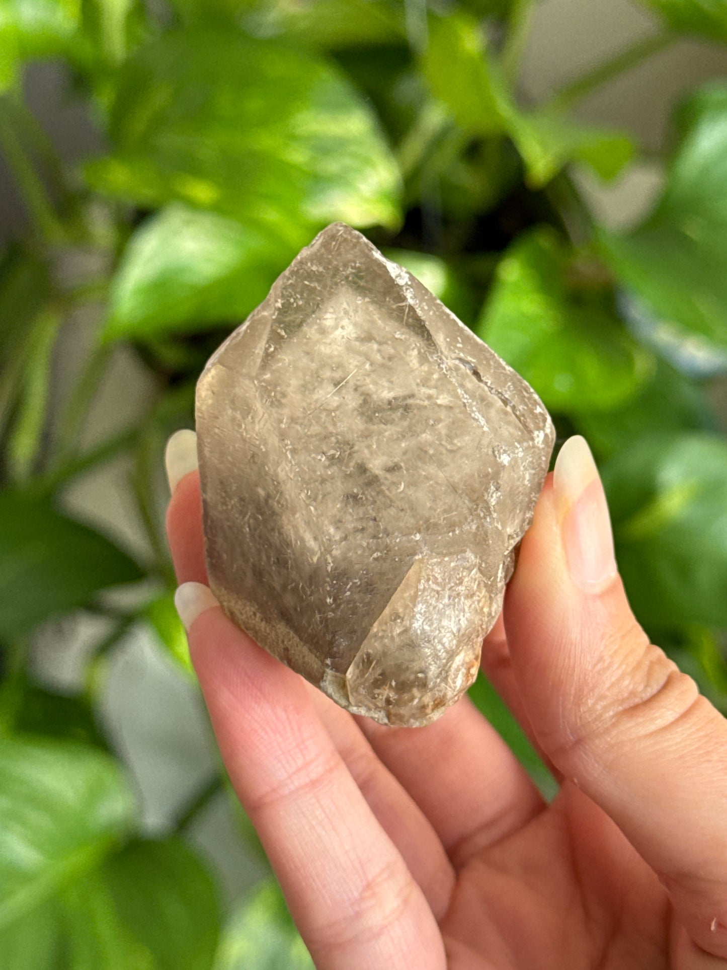 Raw Phantom Garden Quartz With Silver Rutile Point