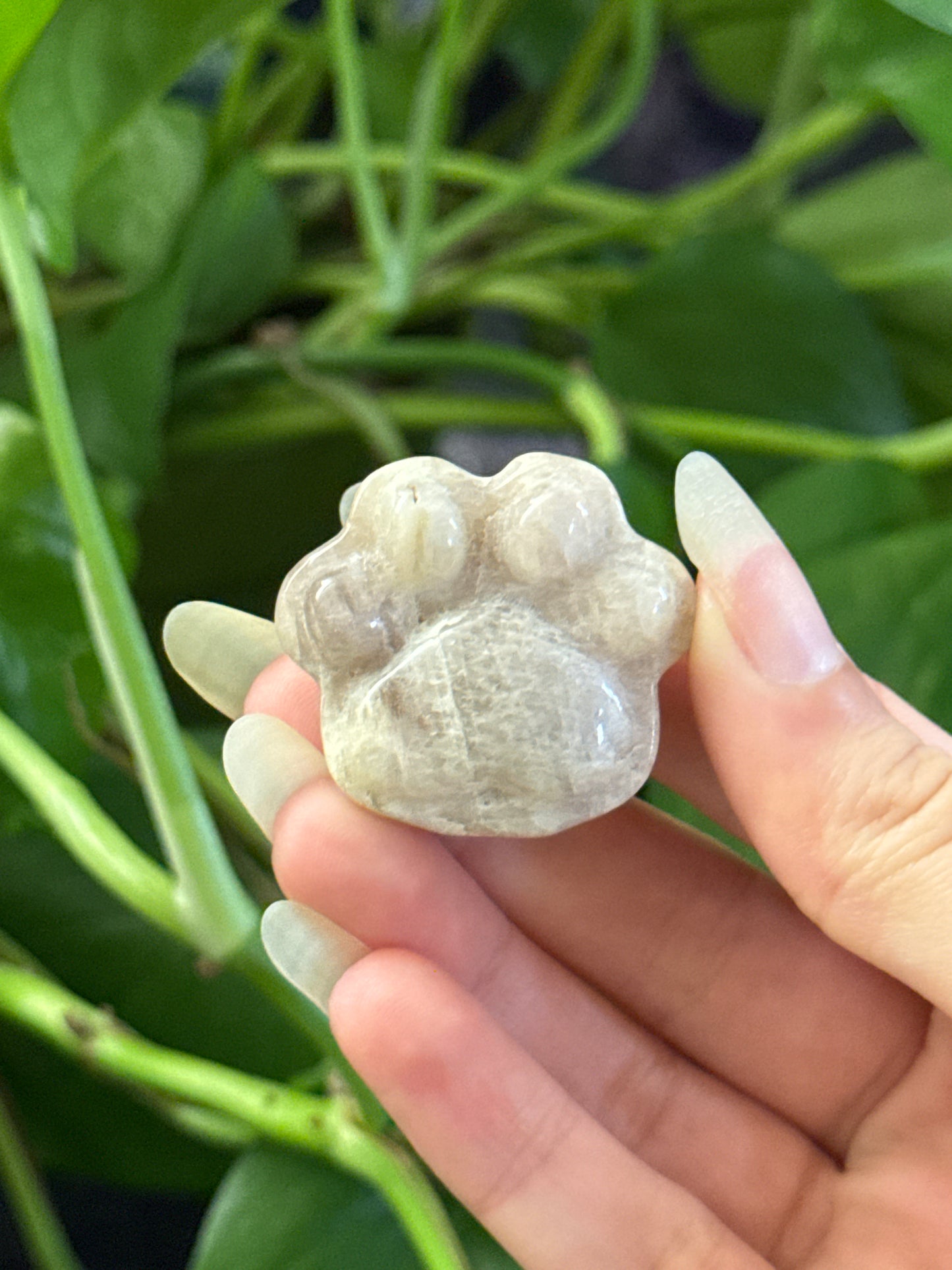 Moonstone Paw Carving