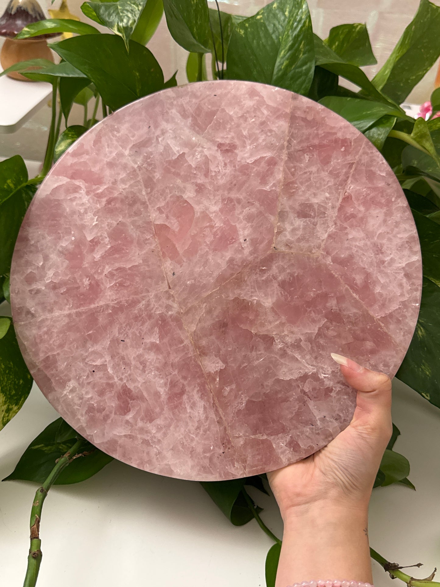 XL Rose Quartz Circular Display Tray