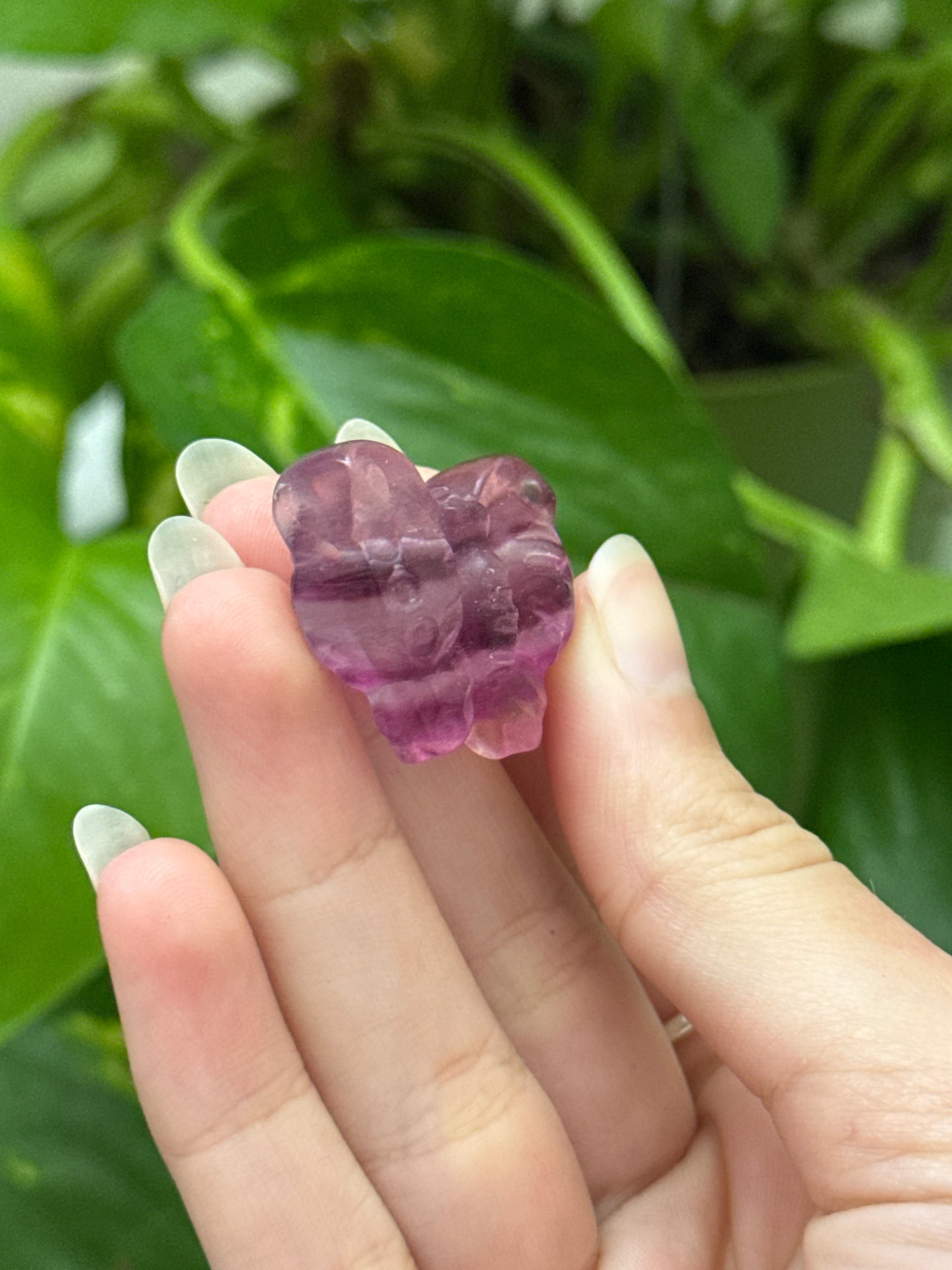Fluorite Butterfly