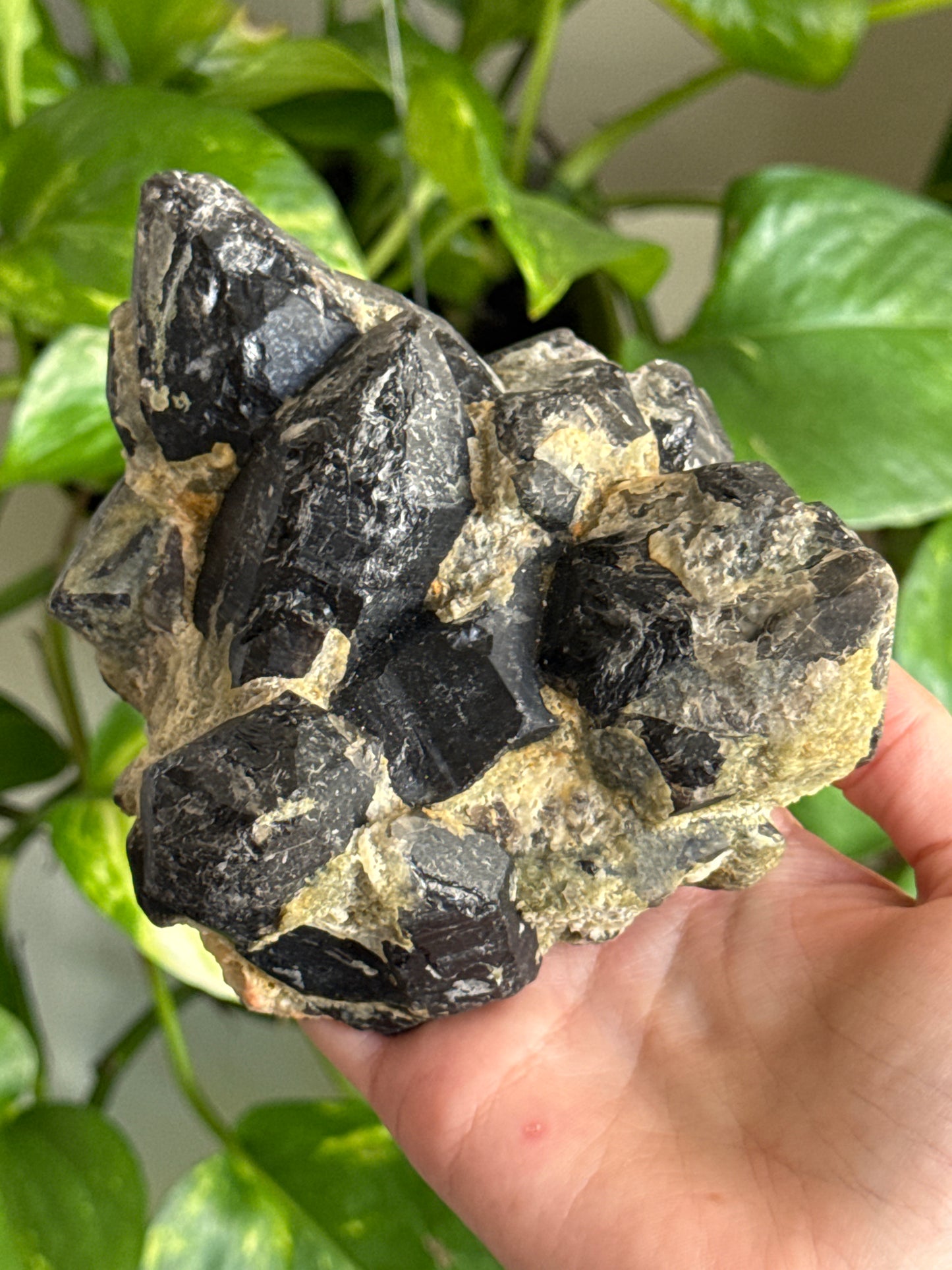 Large Epidote on Smoky Quartz Cluster