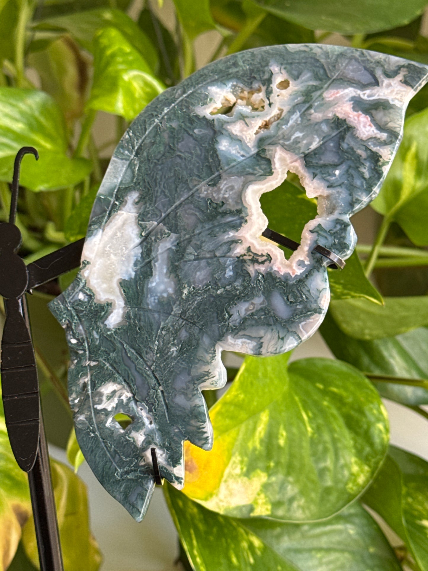 Large Druzy Moss Agate Butterfly