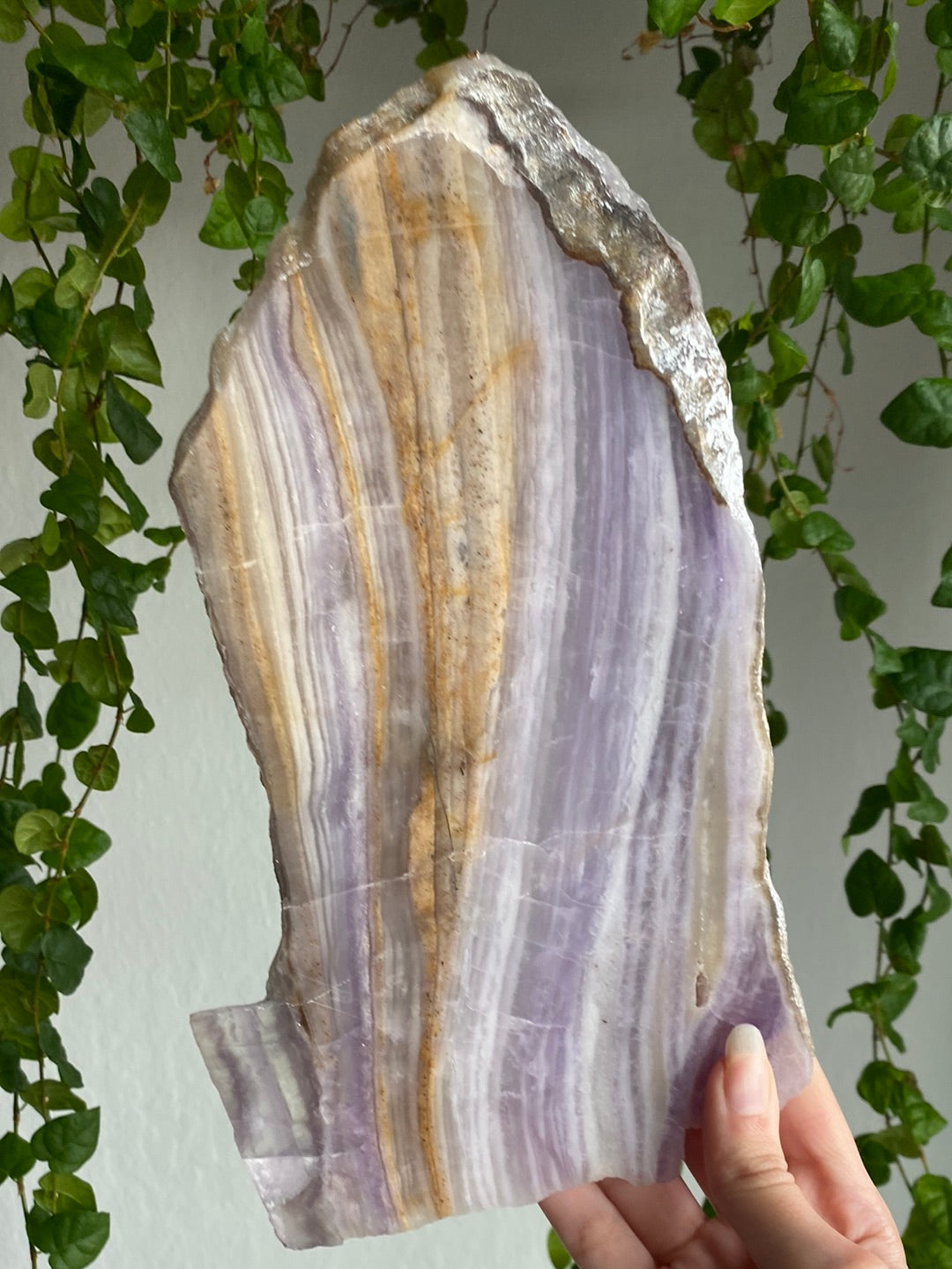 Huge Silk Fluorite Slab (10” & 1.8lbs)