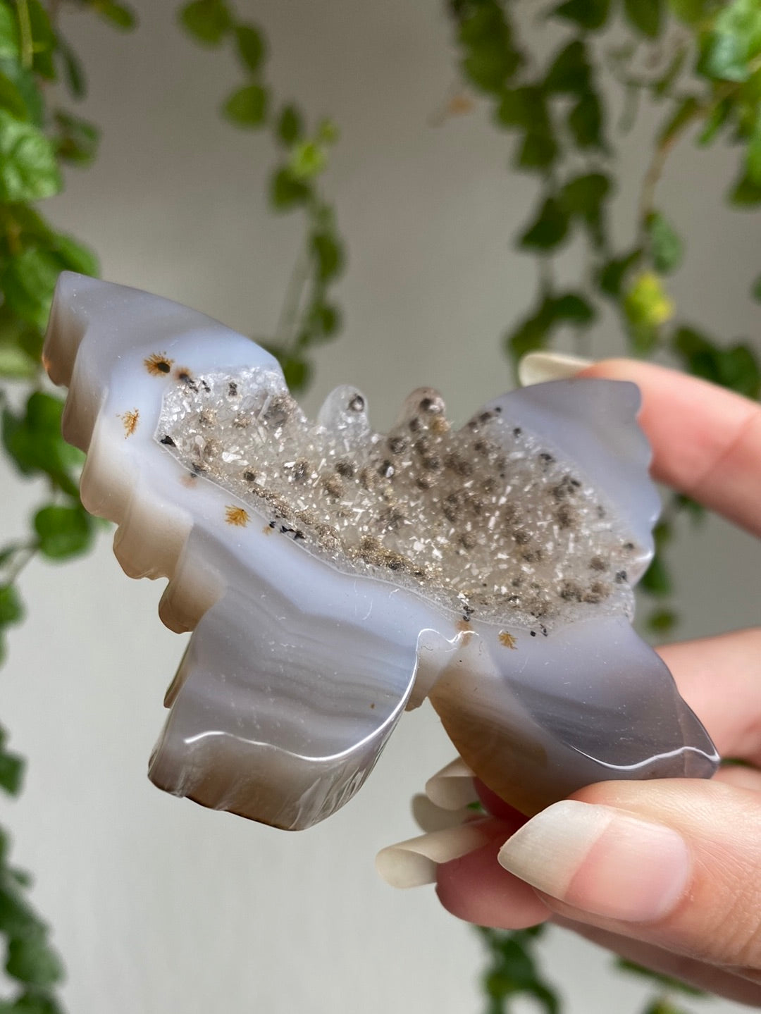 Druzy Agate Butterfly