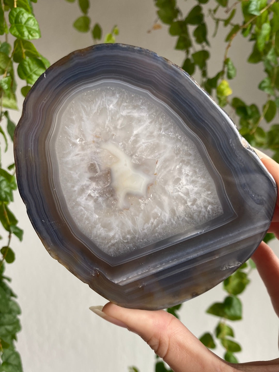 Banded Agate Slabs | You Pick