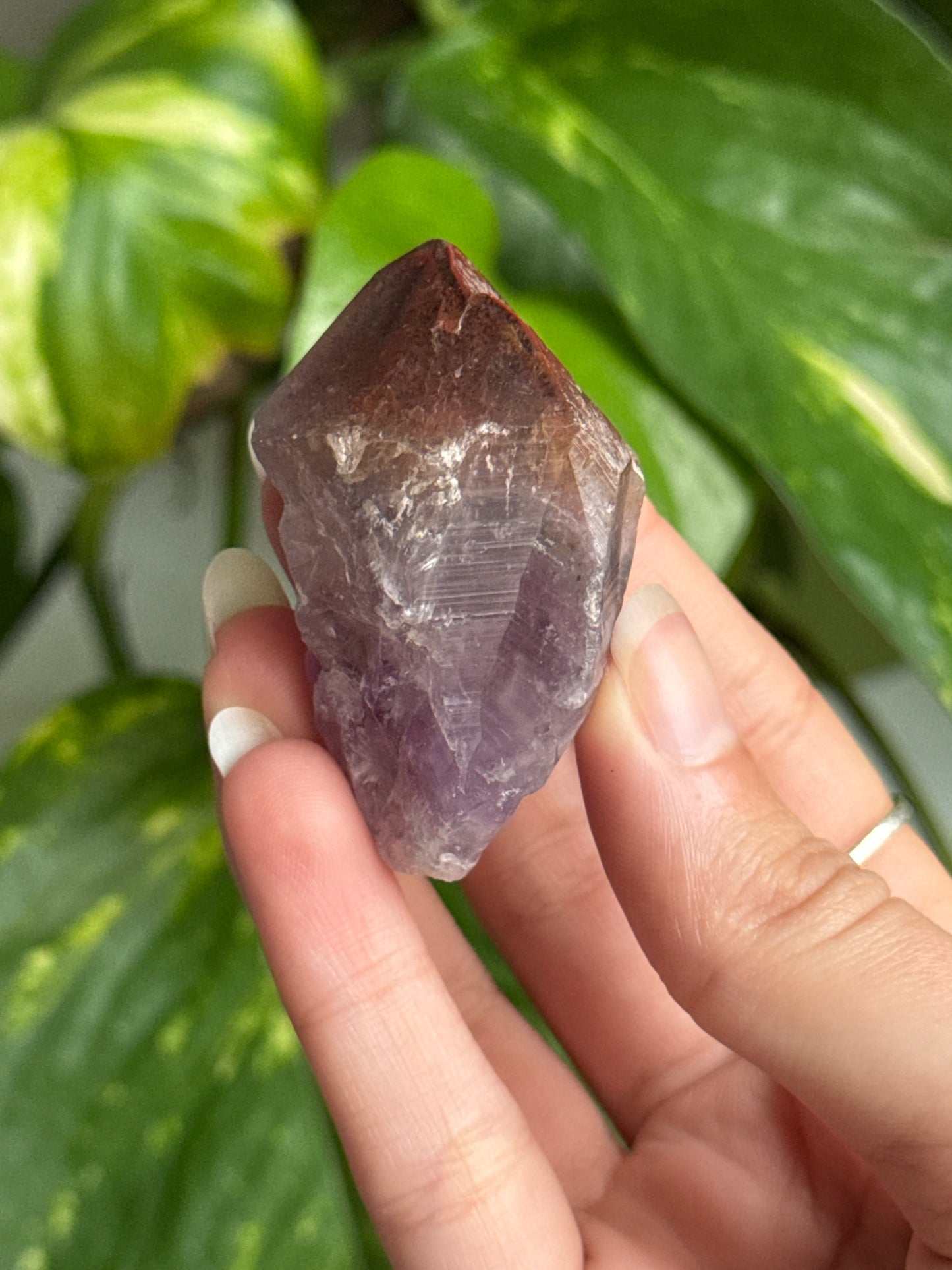 Auralite 23 Specimen