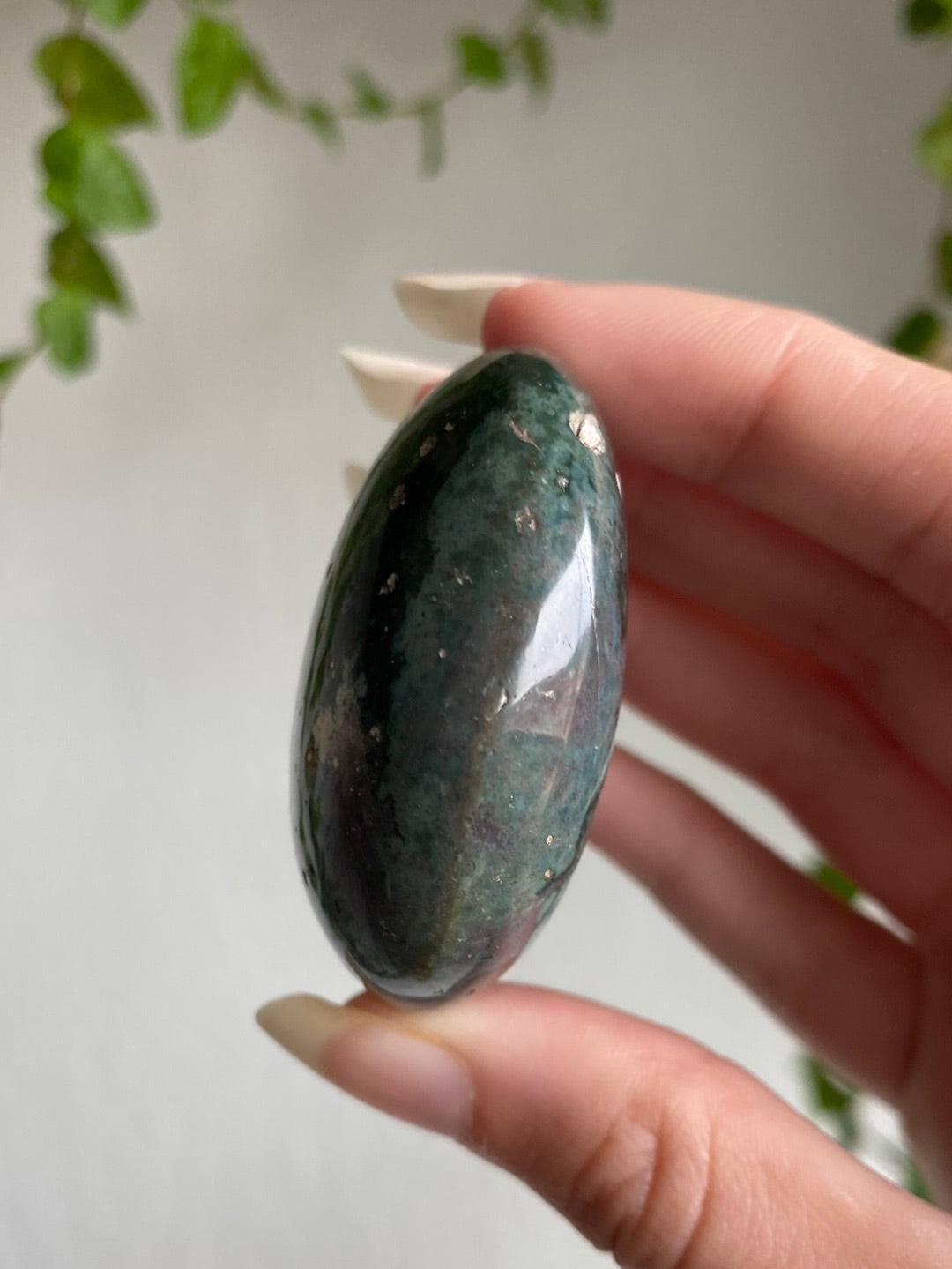 Ocean Jasper Palmstone