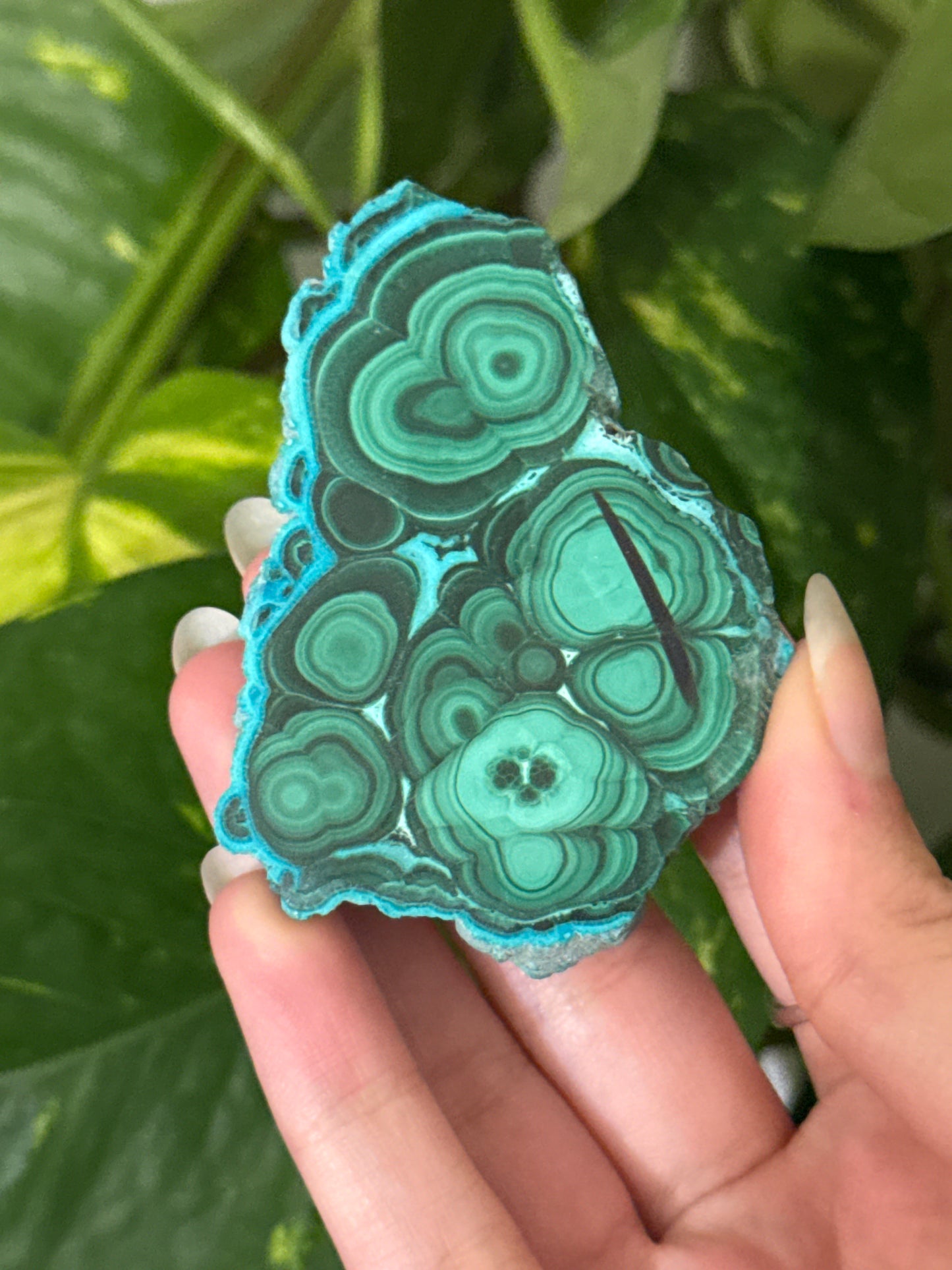 Malachite & Chrysocolla Unique Slabs | You Pick