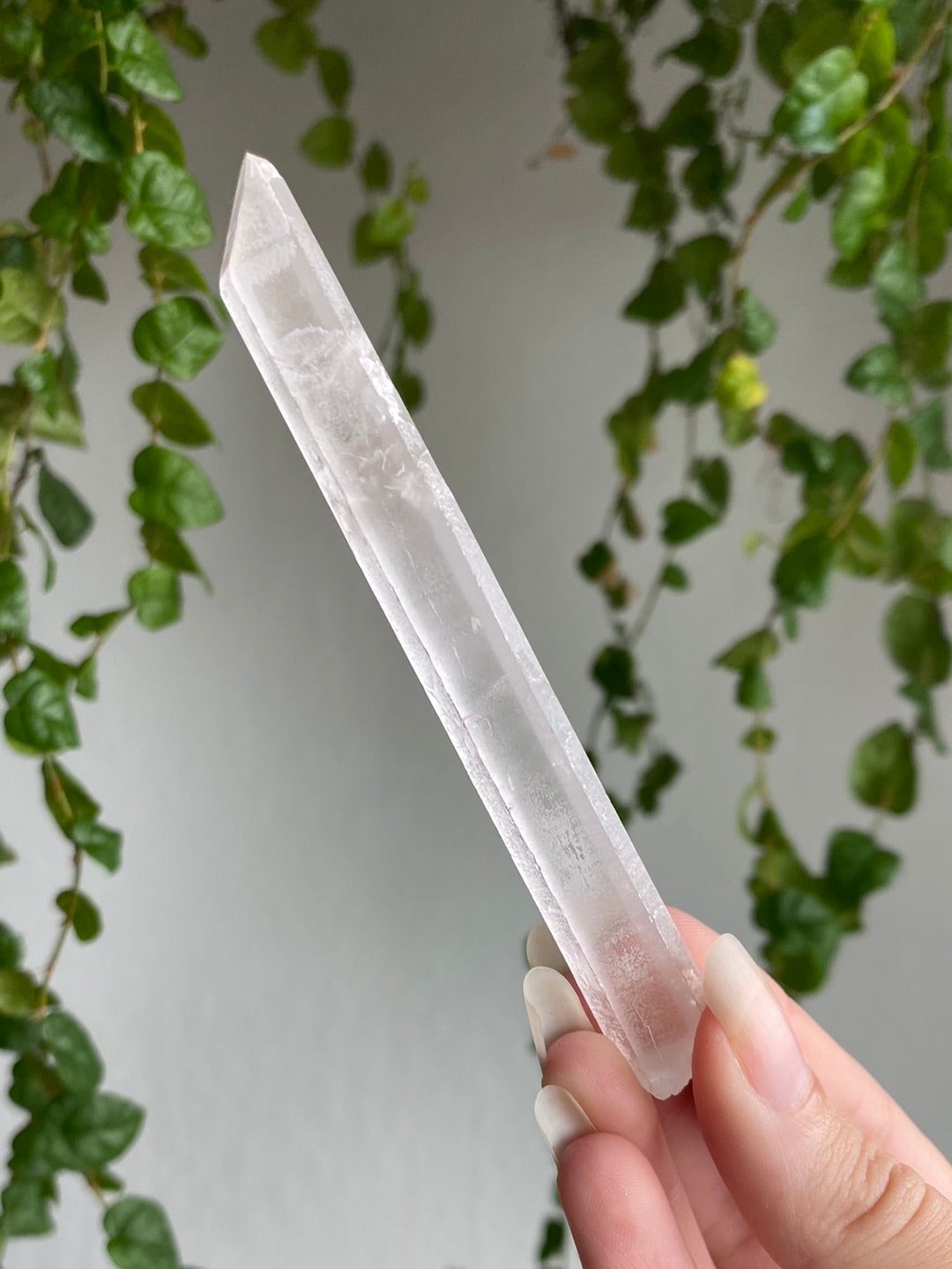 Raw Lemurian Points | You Pick