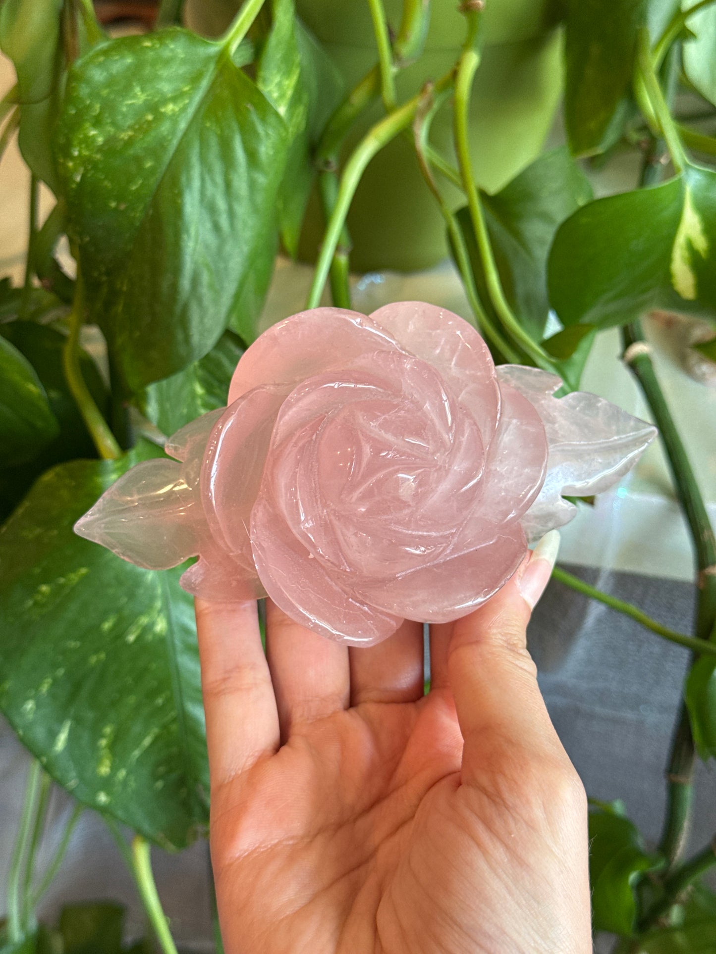 Gemmy Rose Quartz Hand Carved Rose with Star Flash