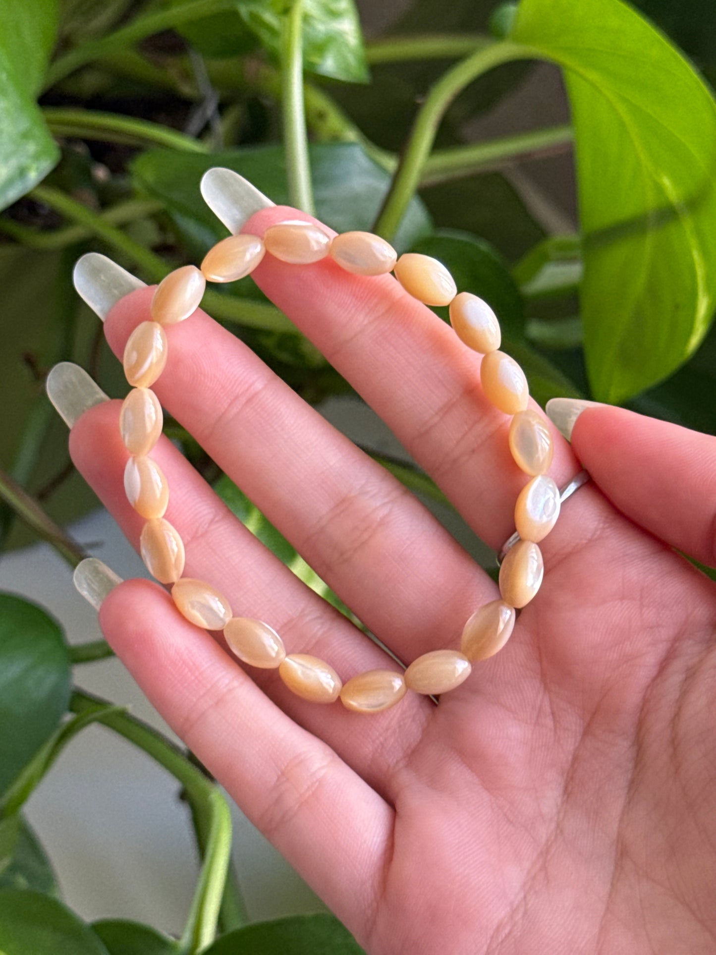 Peachy Shell Bracelet