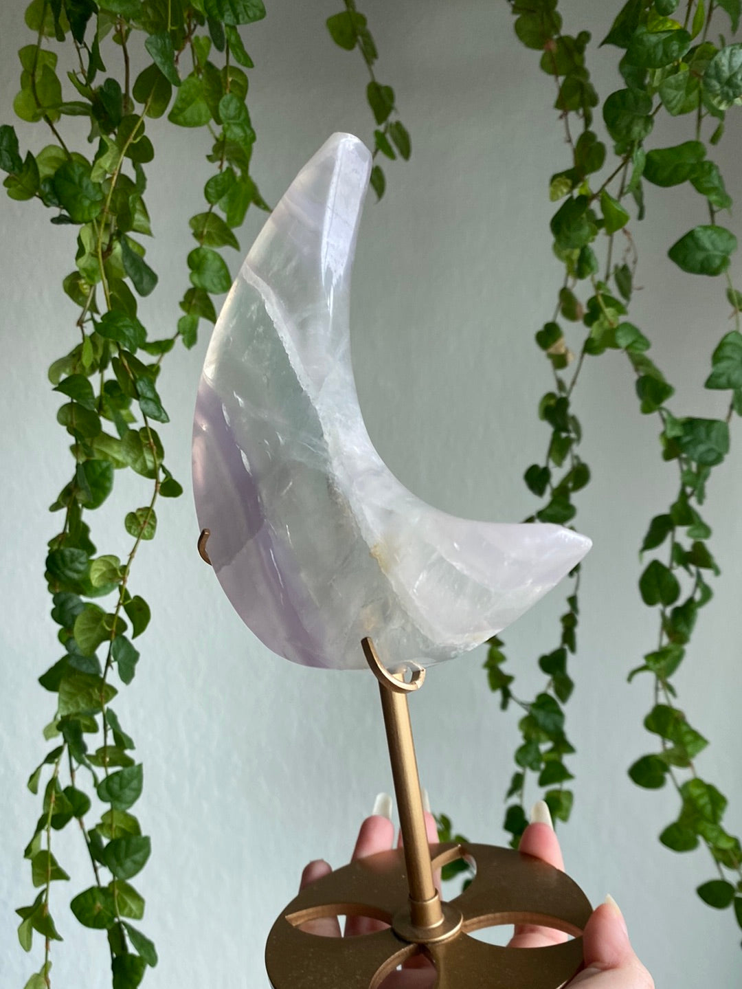 Large Yytrium Fluorite Moon Stands | You Pick