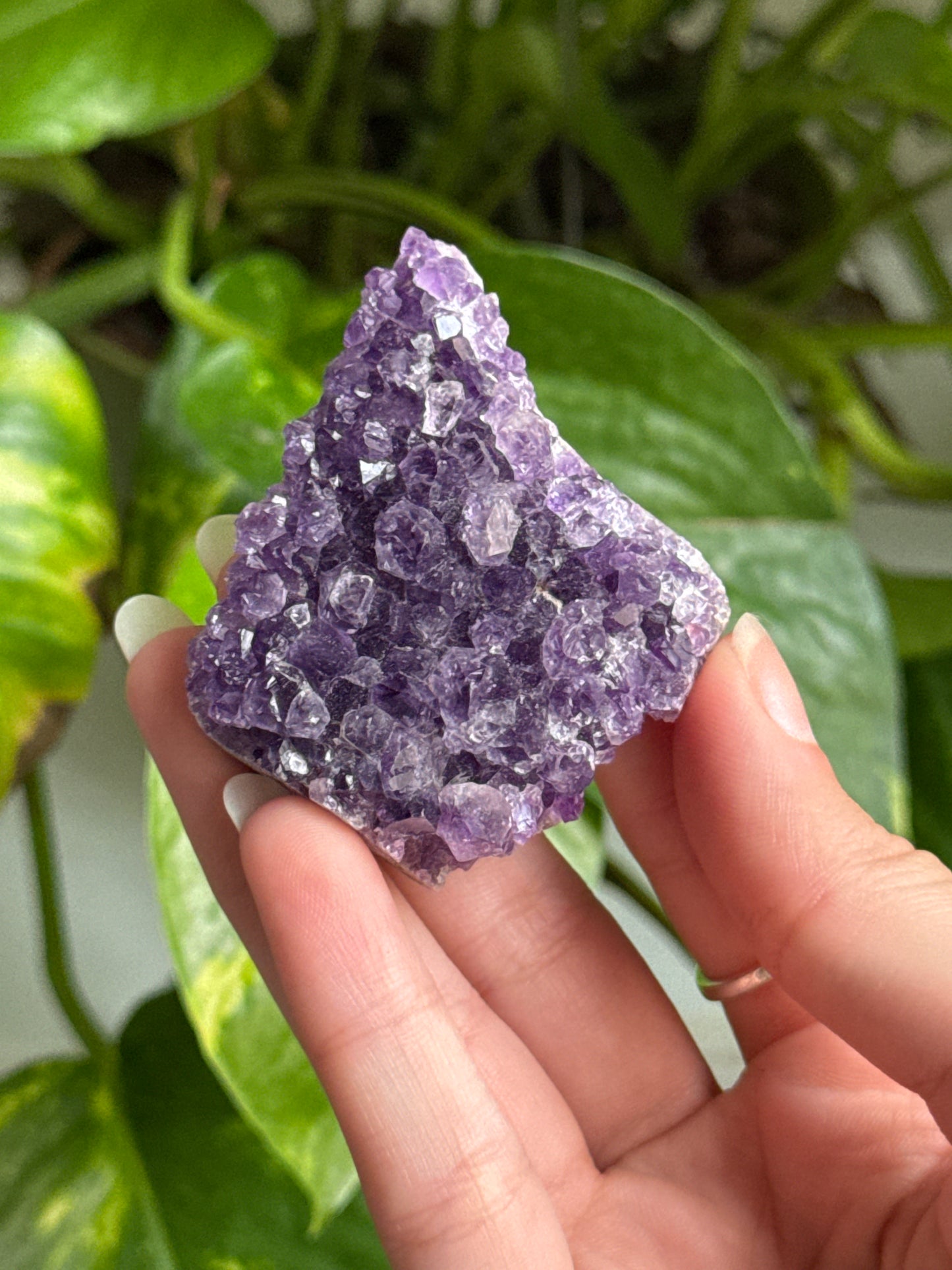 Amethyst Cluster | You Pick