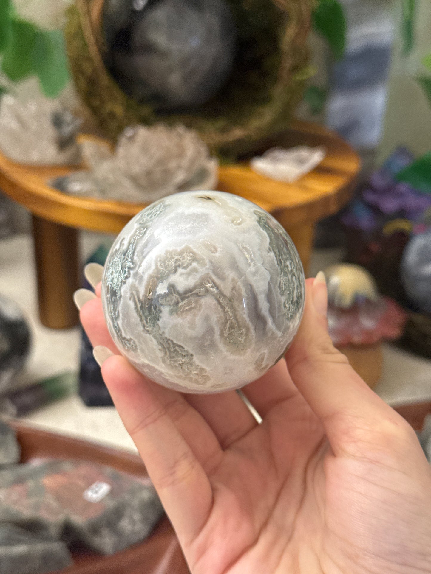 myfosterkitties listing