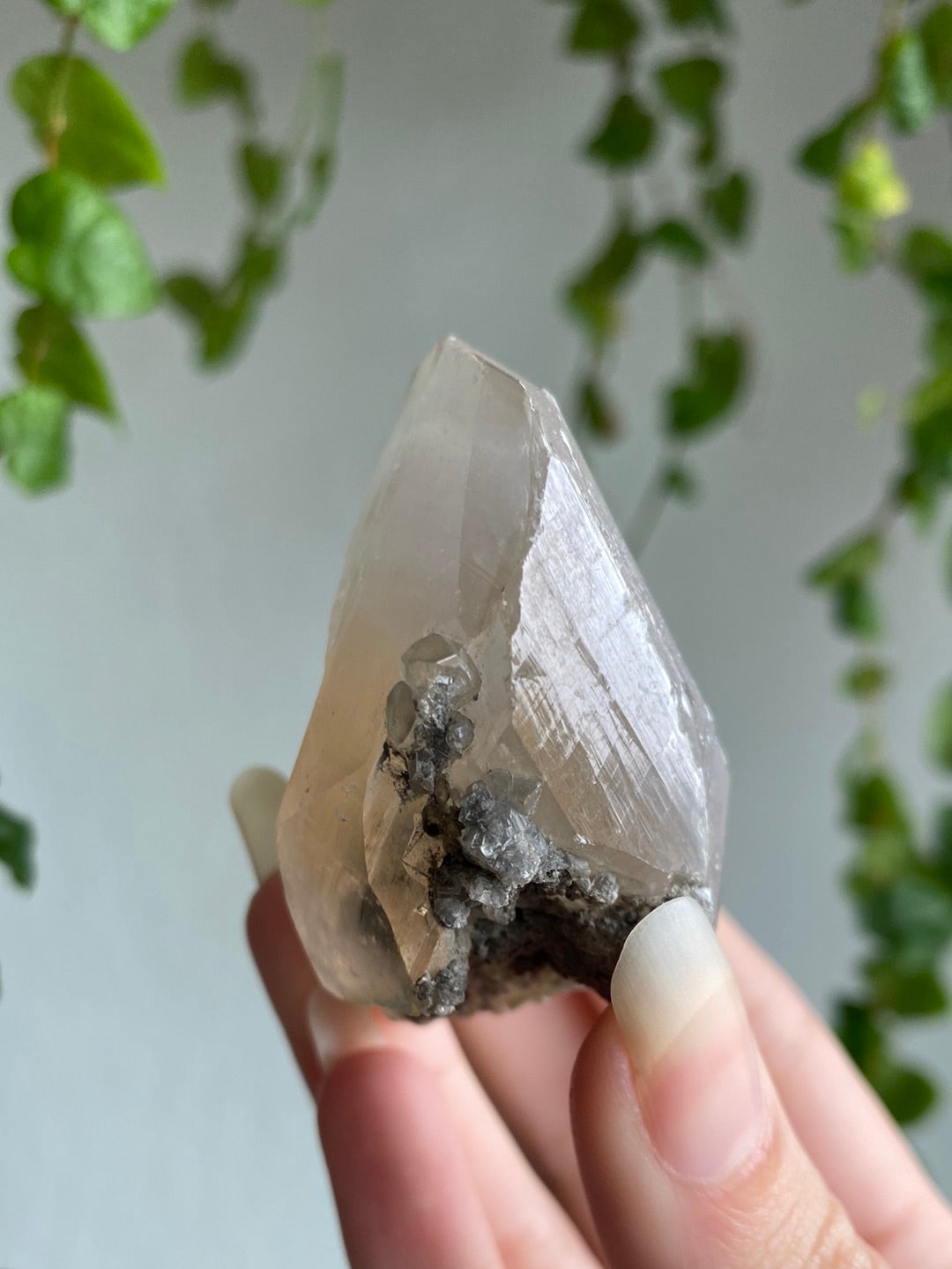 Benz Calcite Specimen | You Pick