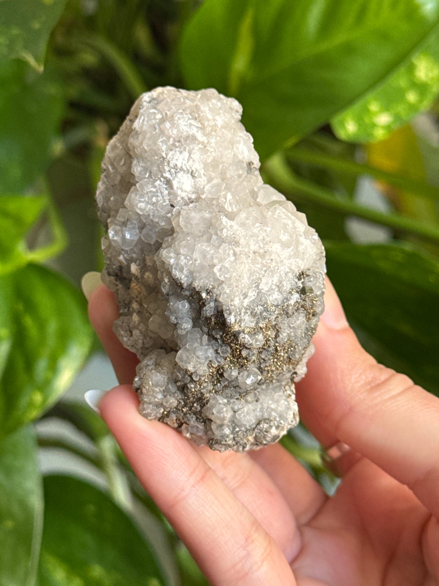 Pyrite on Quartz Specimen B