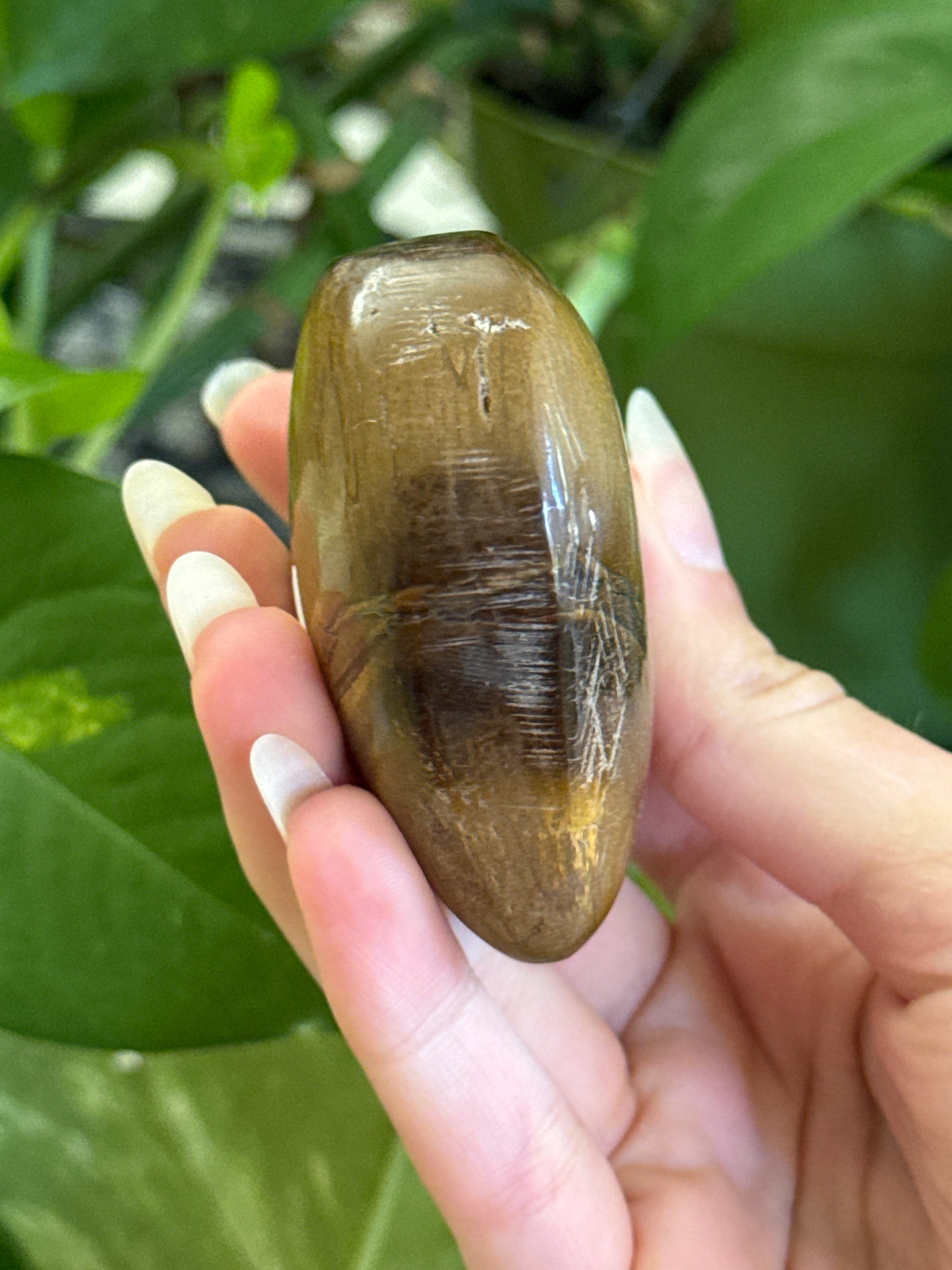 Chubby Tigers Eye Heart