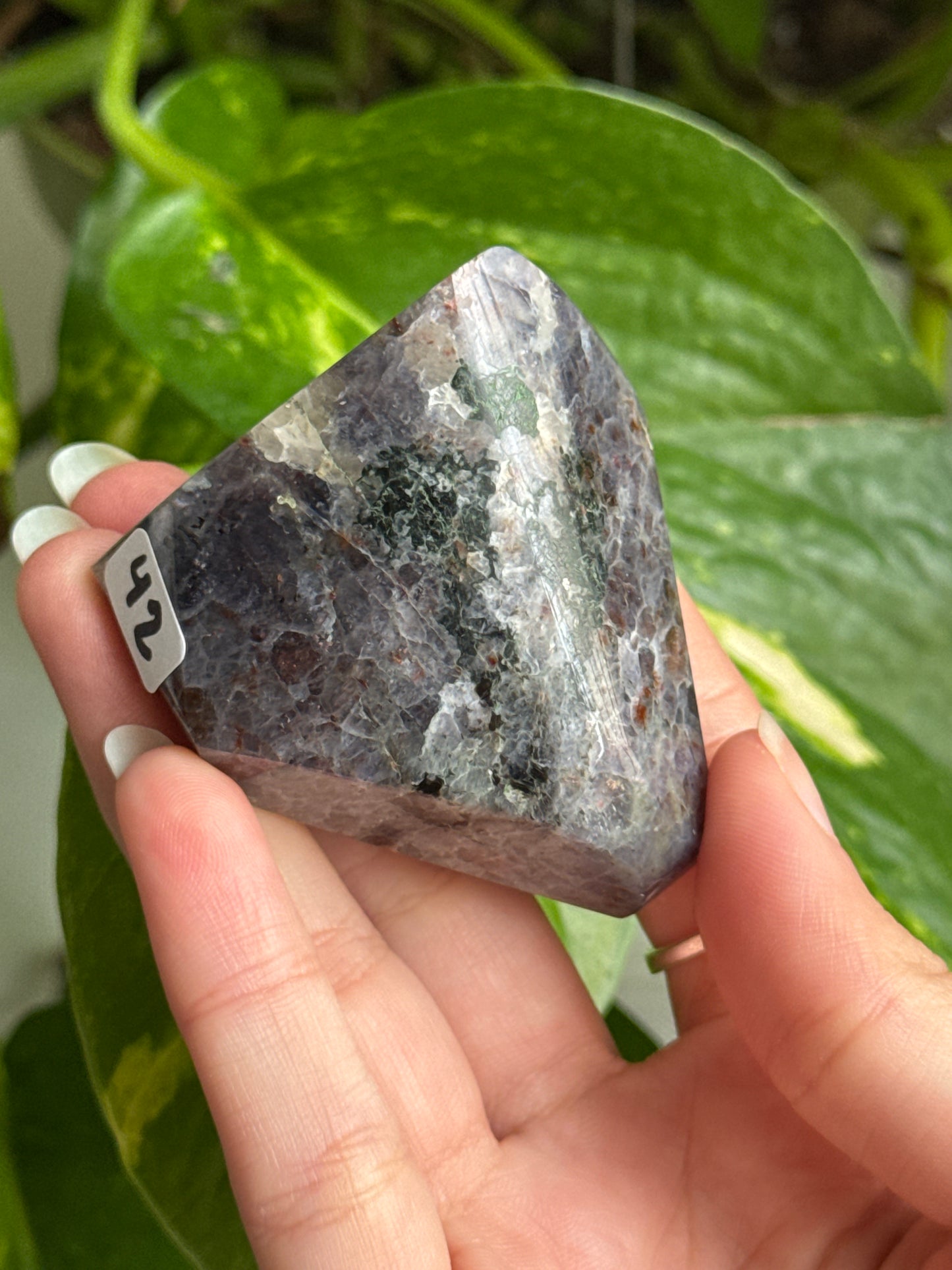 Sparkly Iolite Freeform B