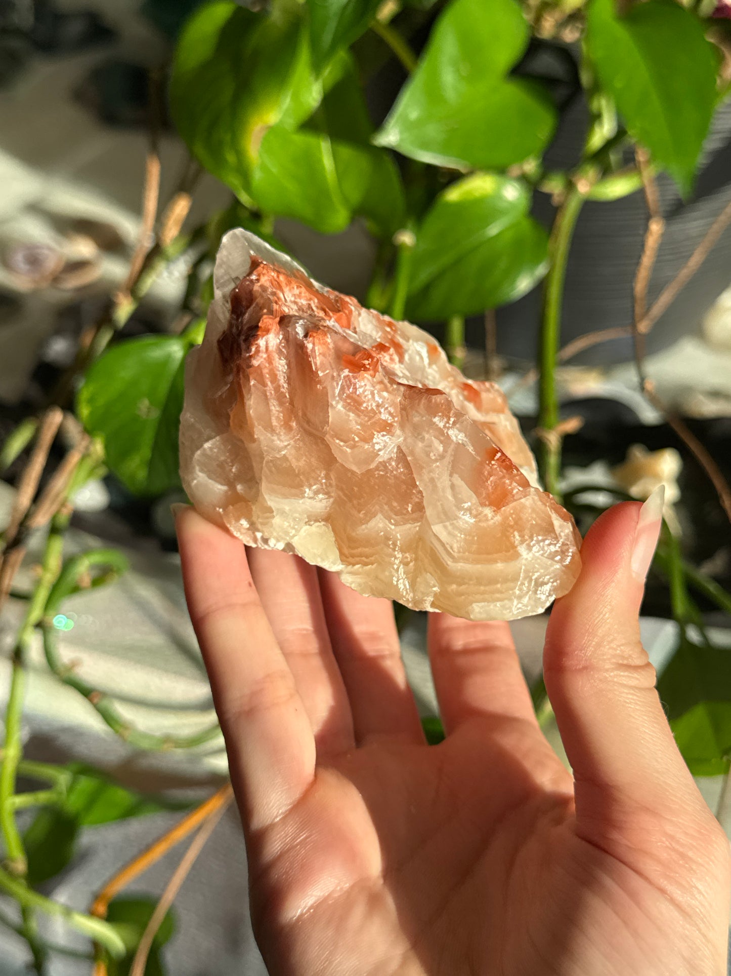 Peachy Banded Tri-Color Mexican Calcite F