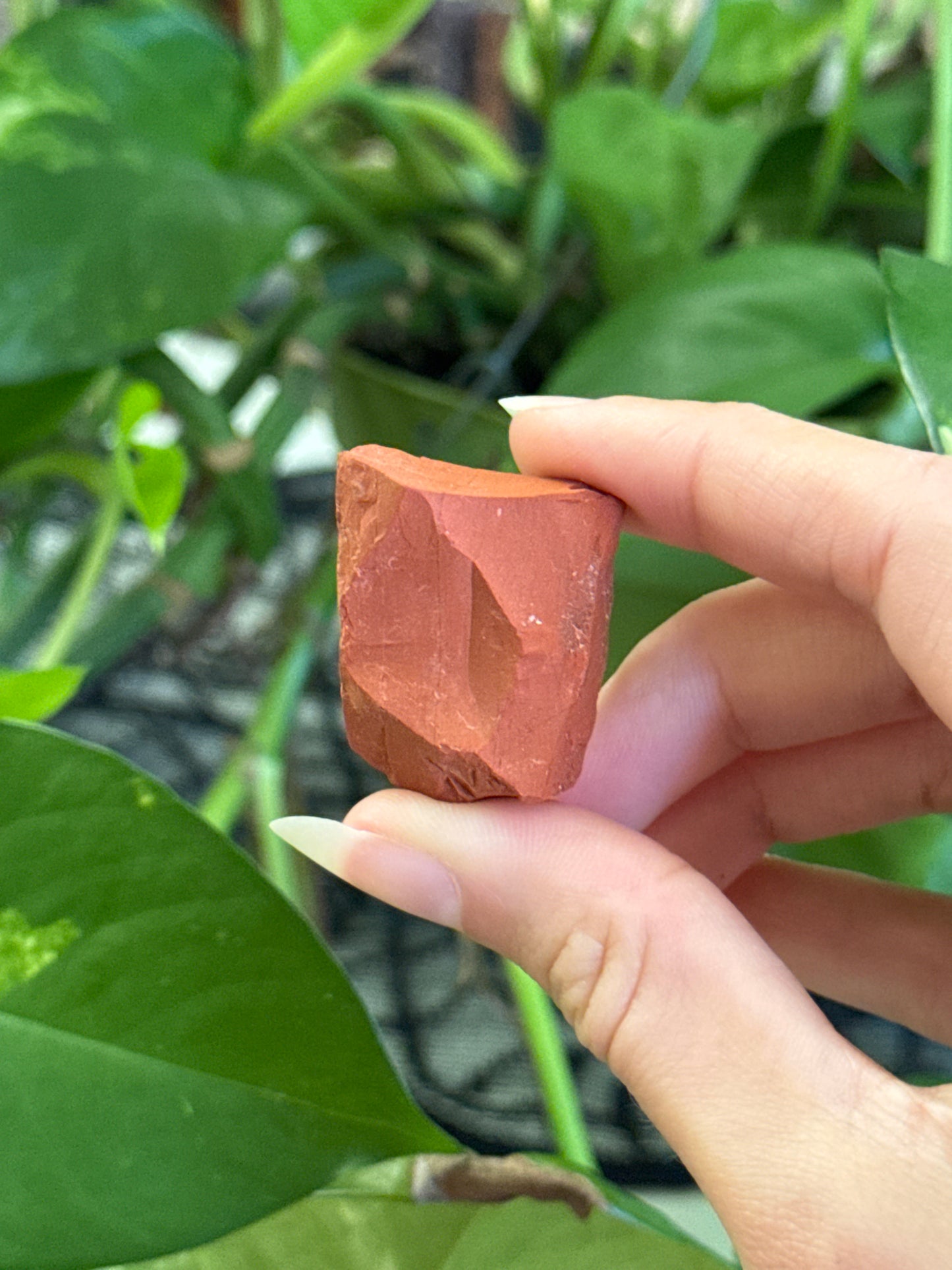 Raw Red Jasper