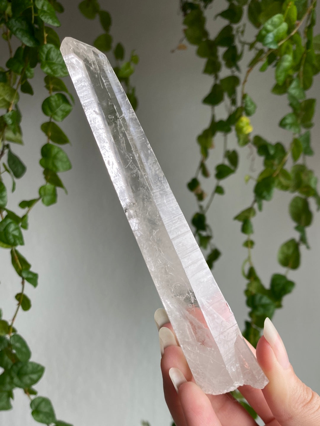 Raw Lemurian Points | You Pick