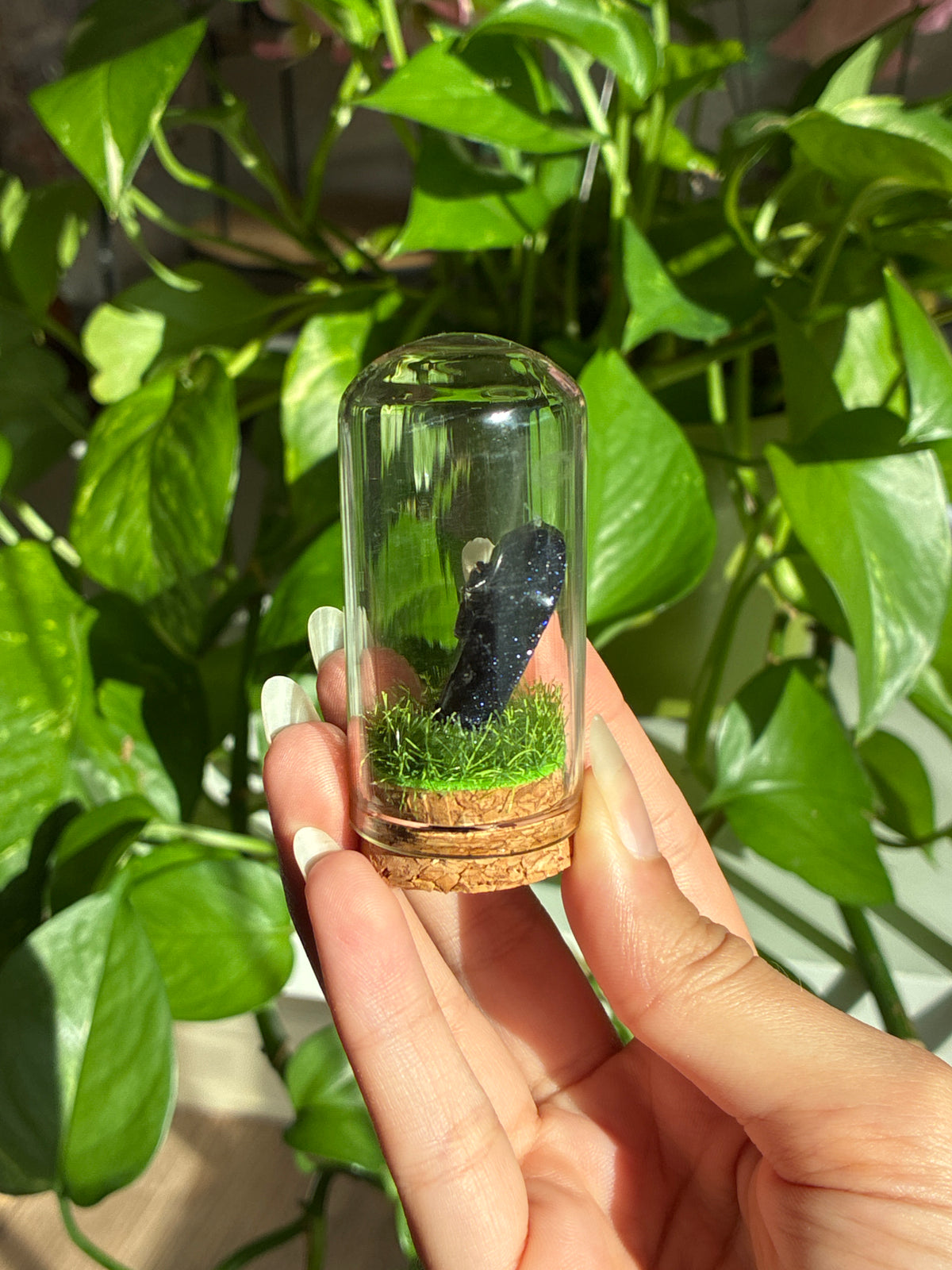 Mini Terrarium Black Goldstone Coffin