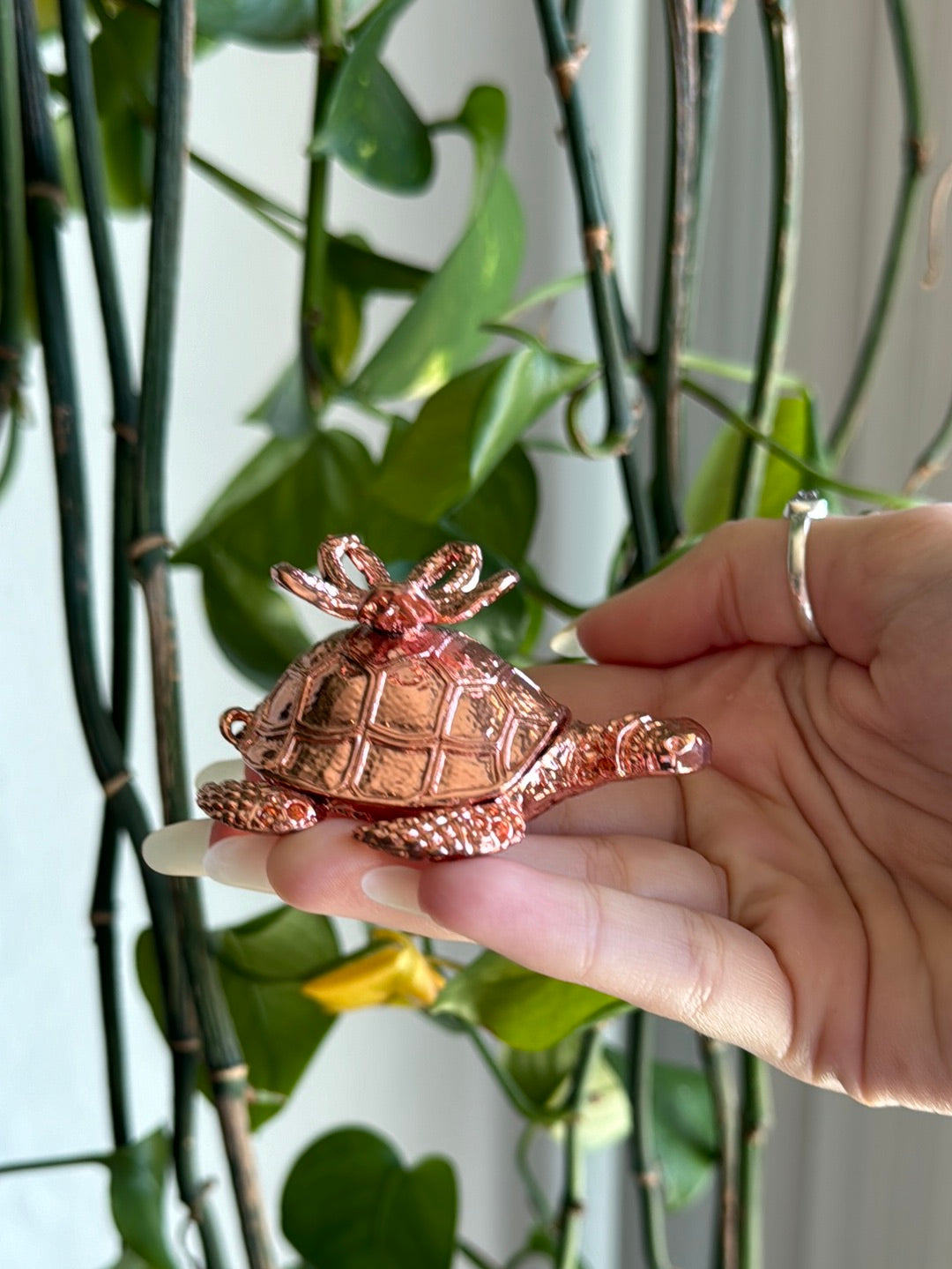 Rose Gold Turtle Trinket Sphere Stand *shell opens*