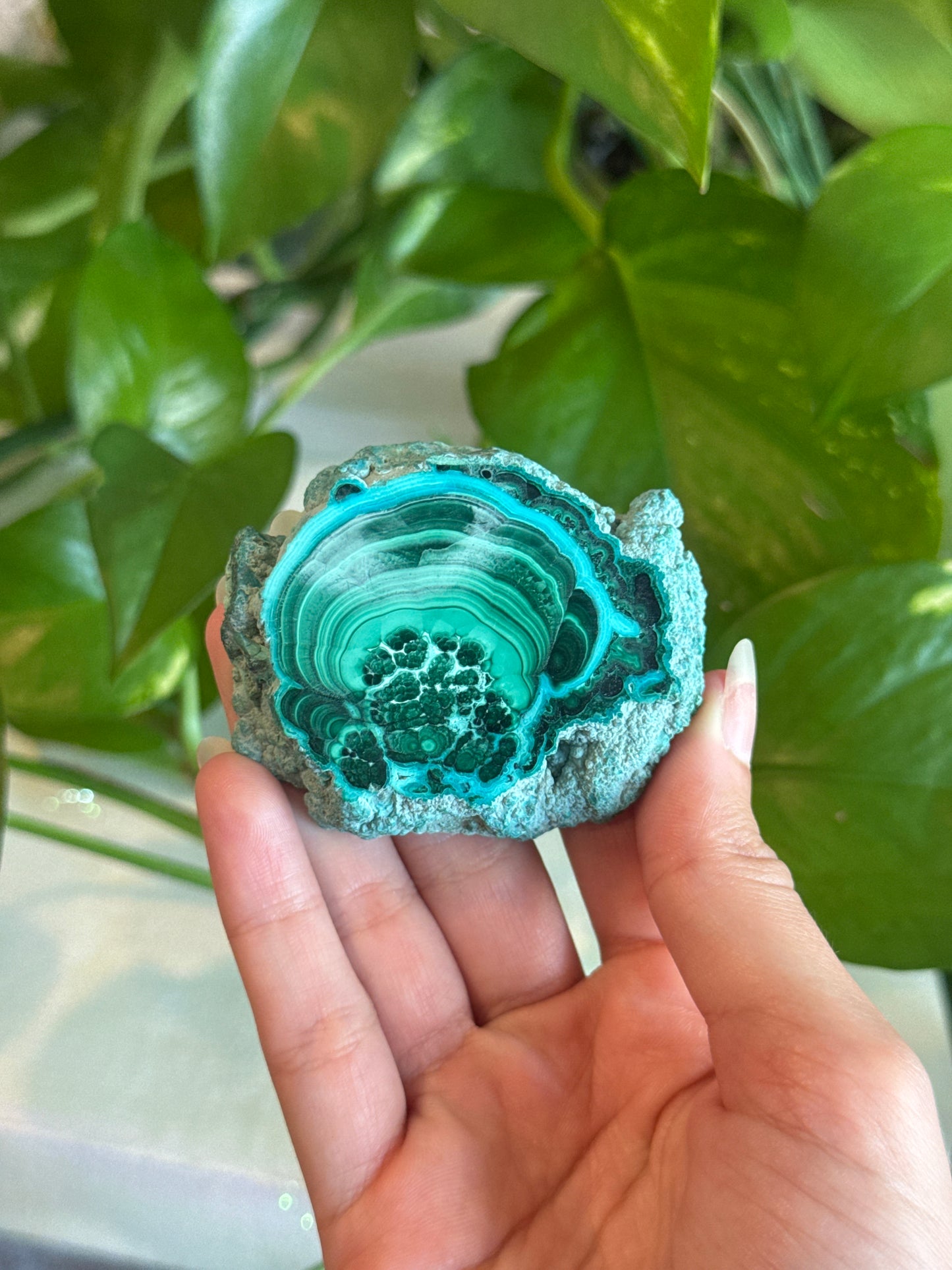 Malachite & Chrysocolla Unique Specimen Slab B