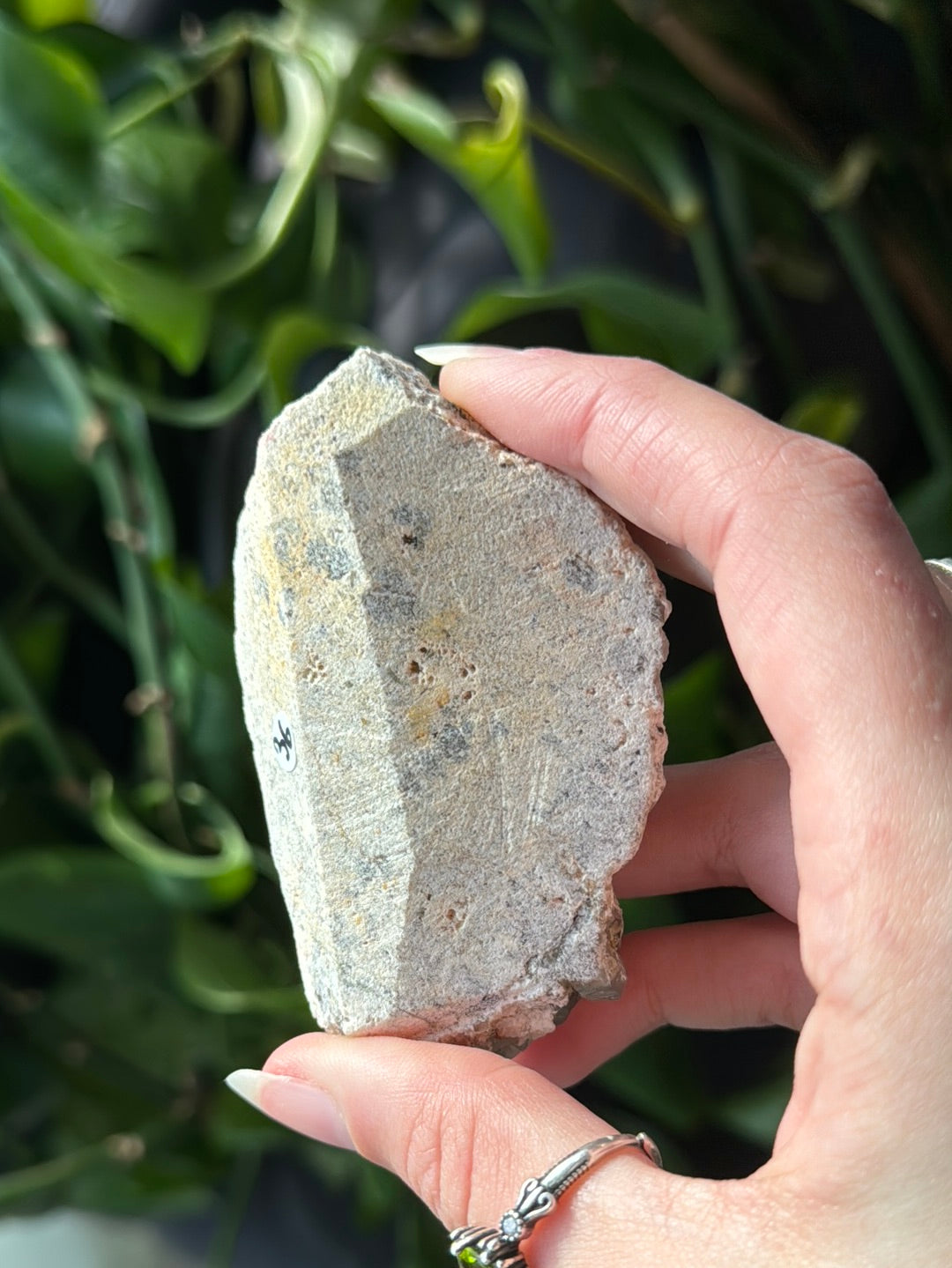 Orange Spessartine Garnet & Smoky Quartz A