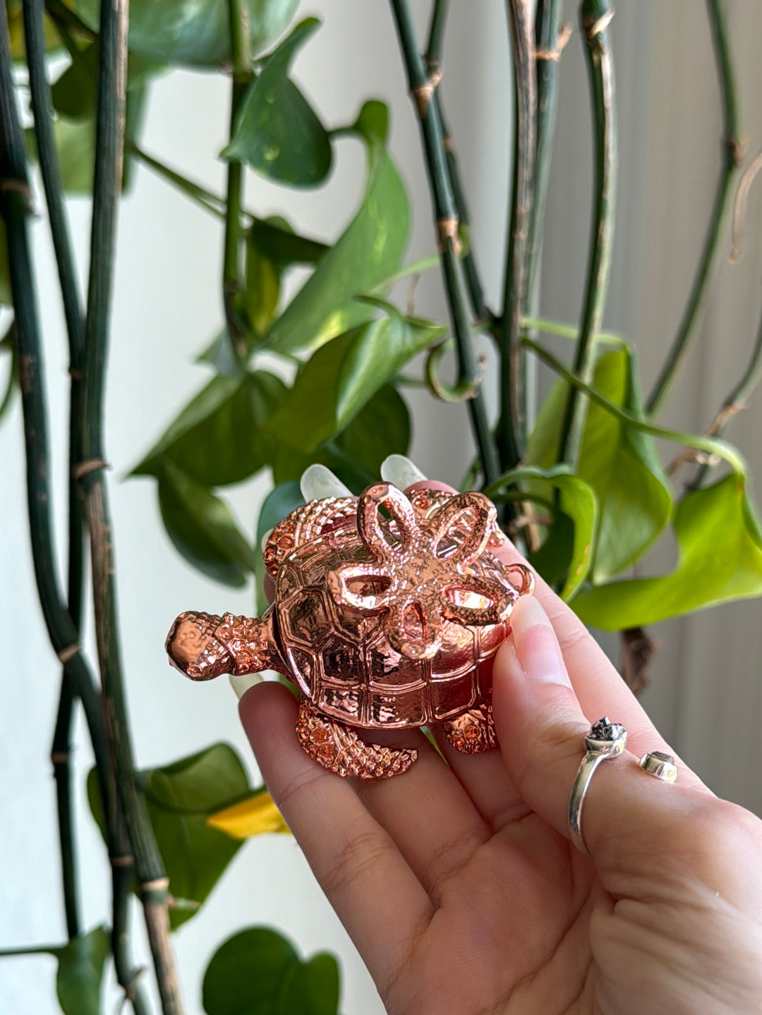 Rose Gold Turtle Trinket Sphere Stand *shell opens*