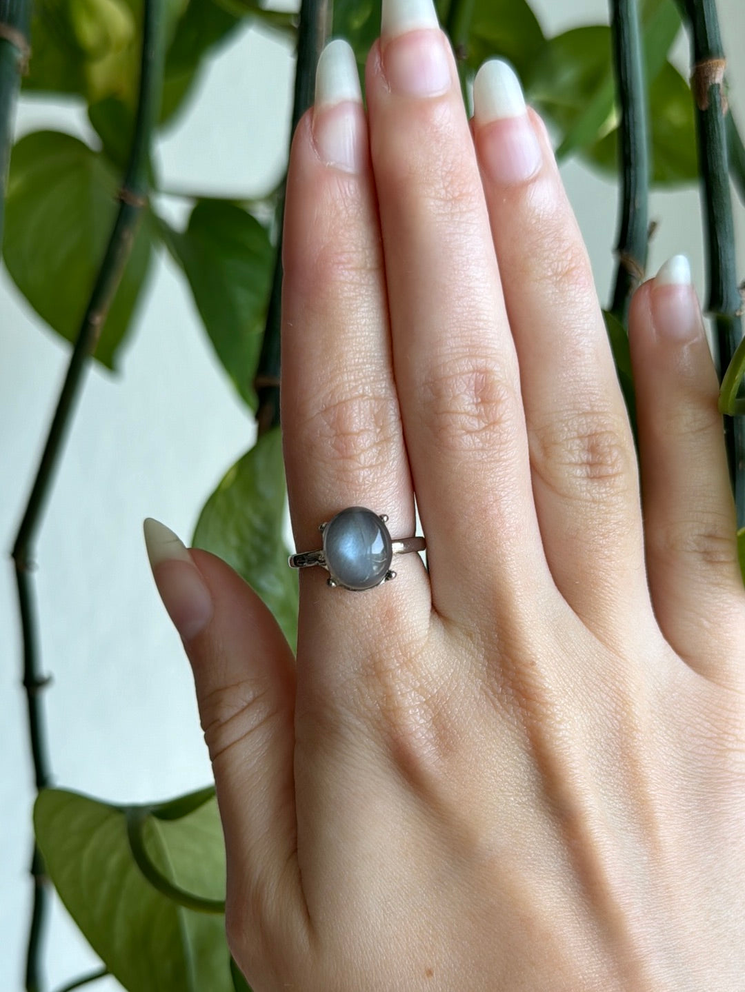 Grey Moonstone Adjustable Ring