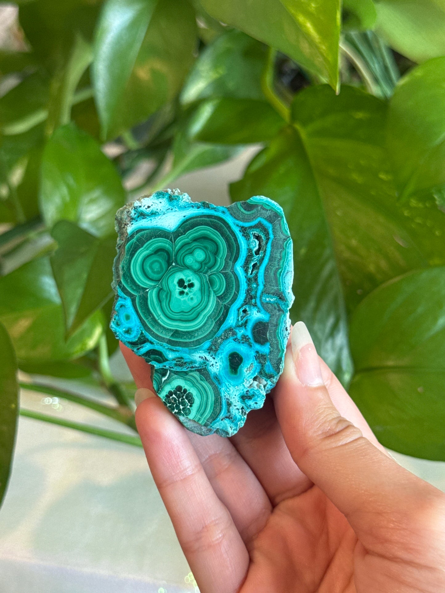 Malachite & Chrysocolla Unique Specimen Slab C