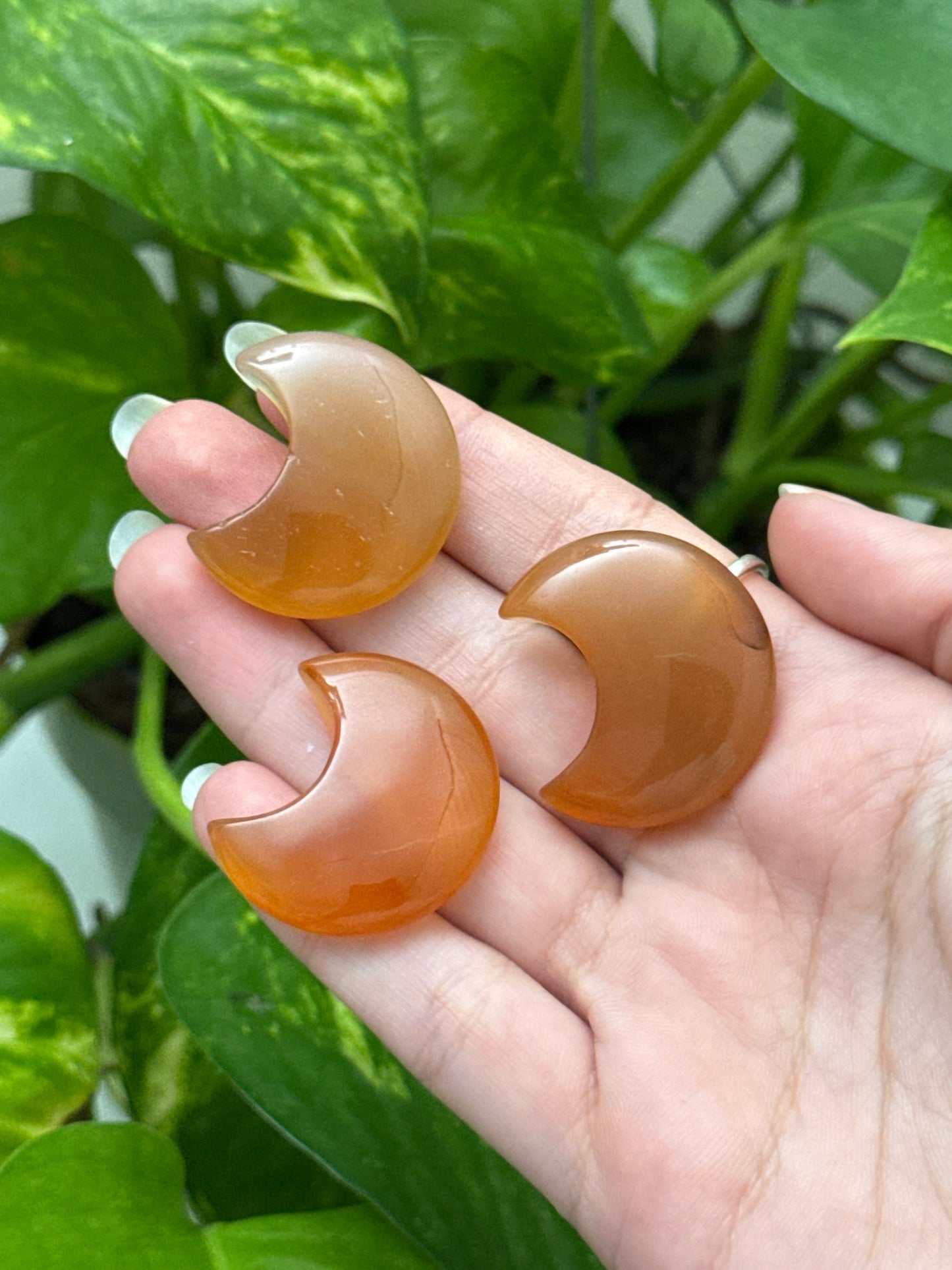 Carnelian Moon