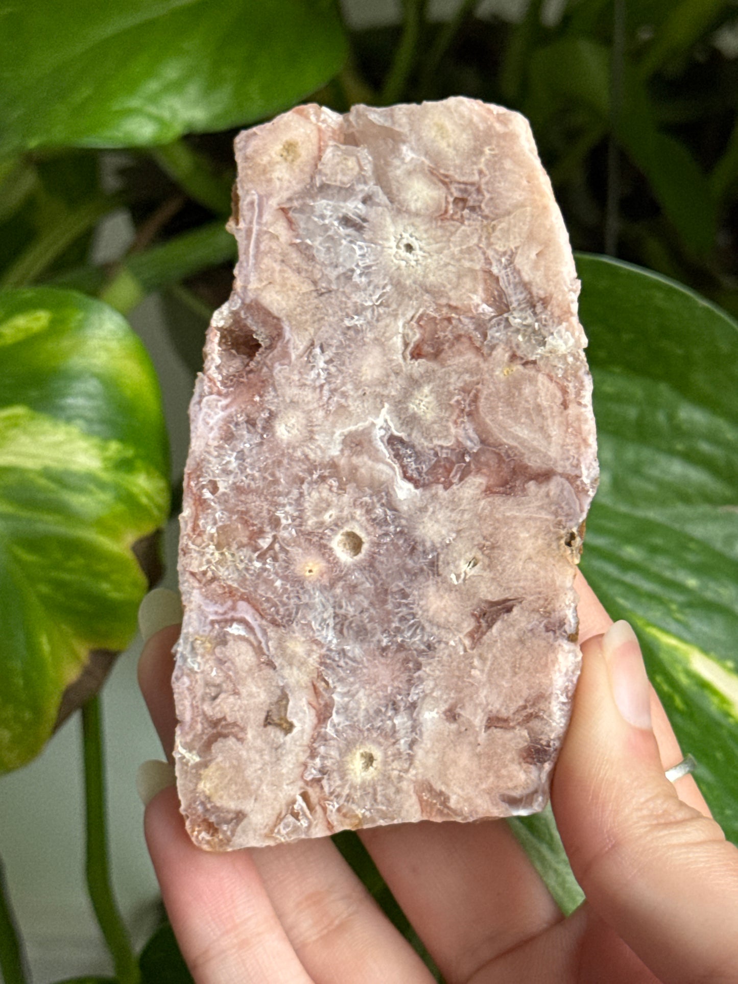 Pink Amethyst & Flower Agate Slab | You Pick