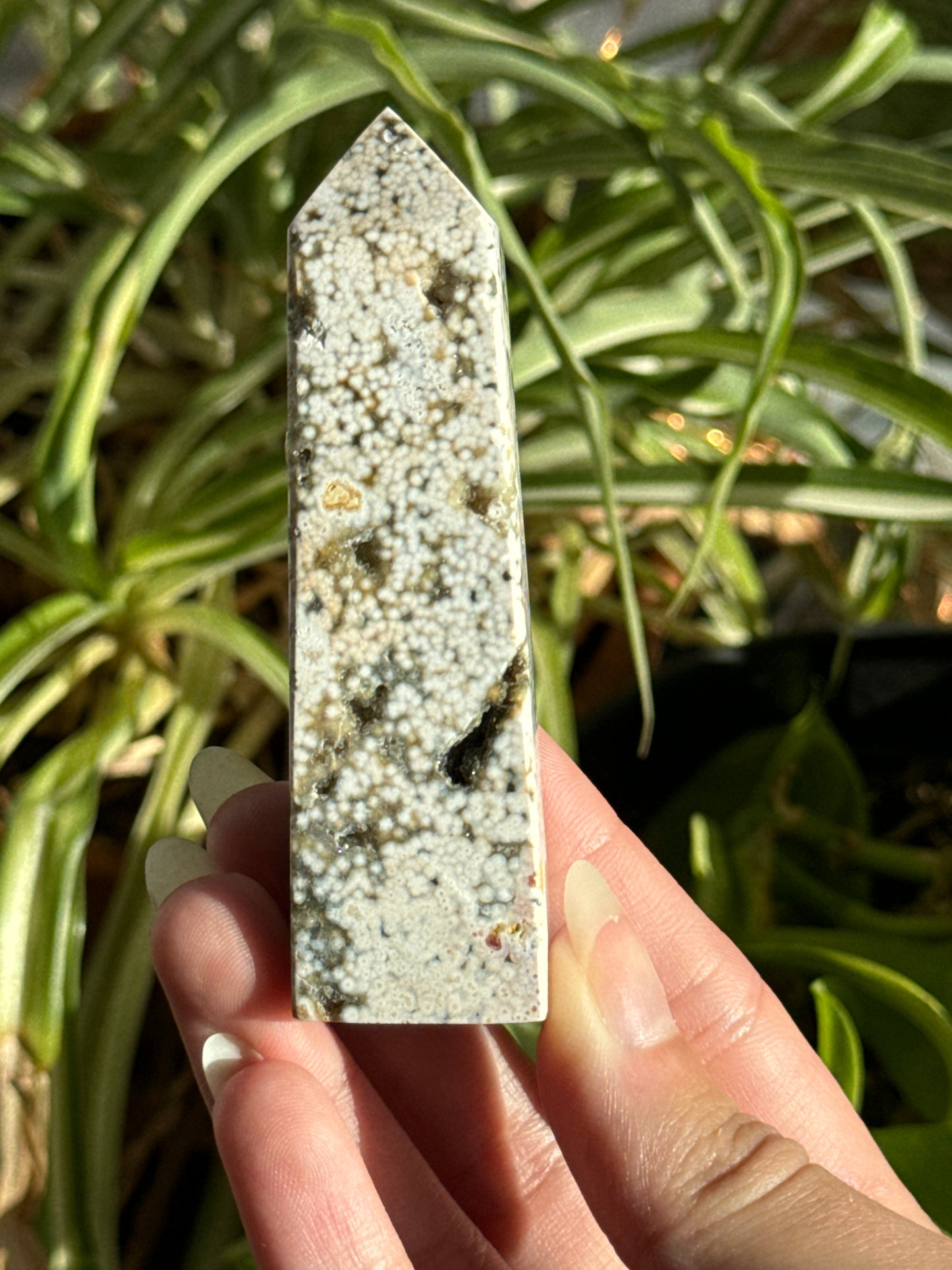 Orbicular Druzy Sea Jasper Towers