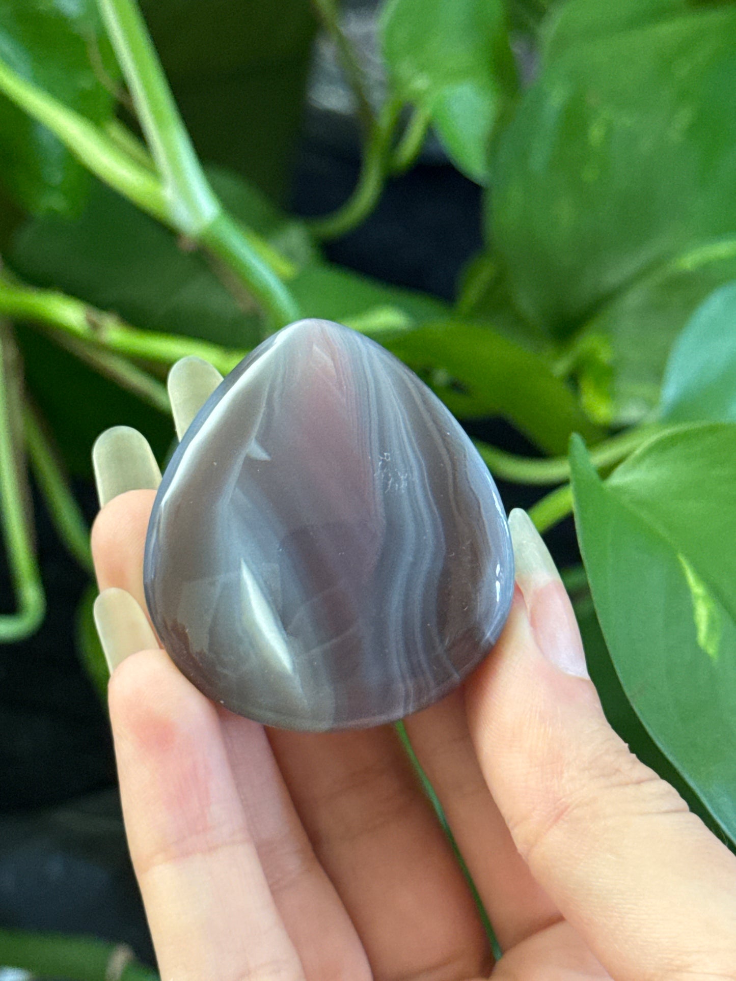 Botswana Agate Teardrop