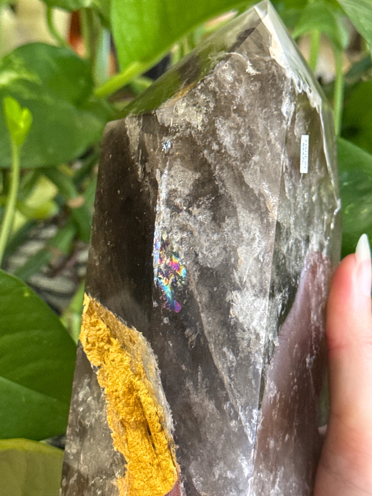 Collectors Statement Smoky Quartz with Garden Quartz Tower 🕸️