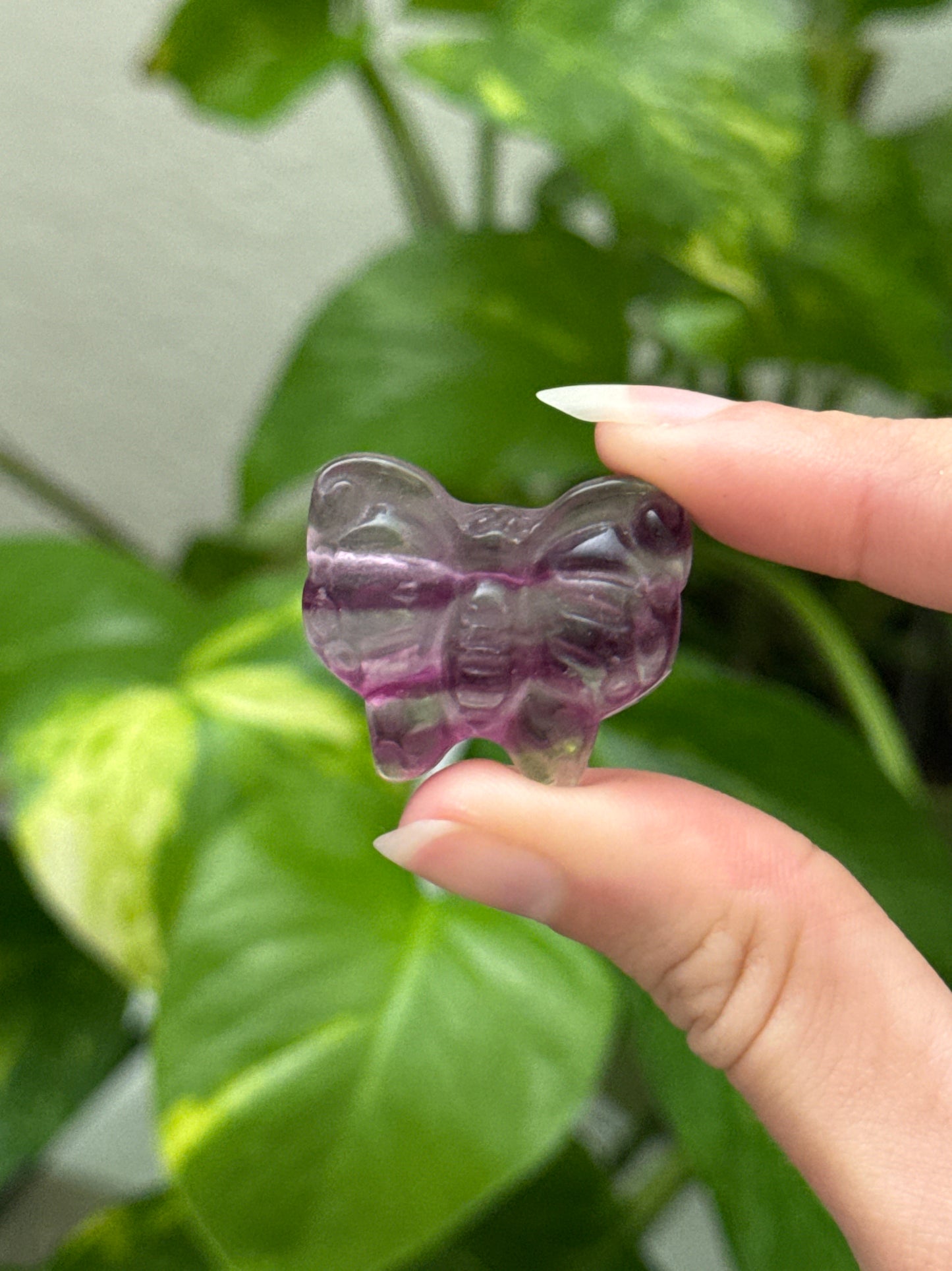 Fluorite Butterfly