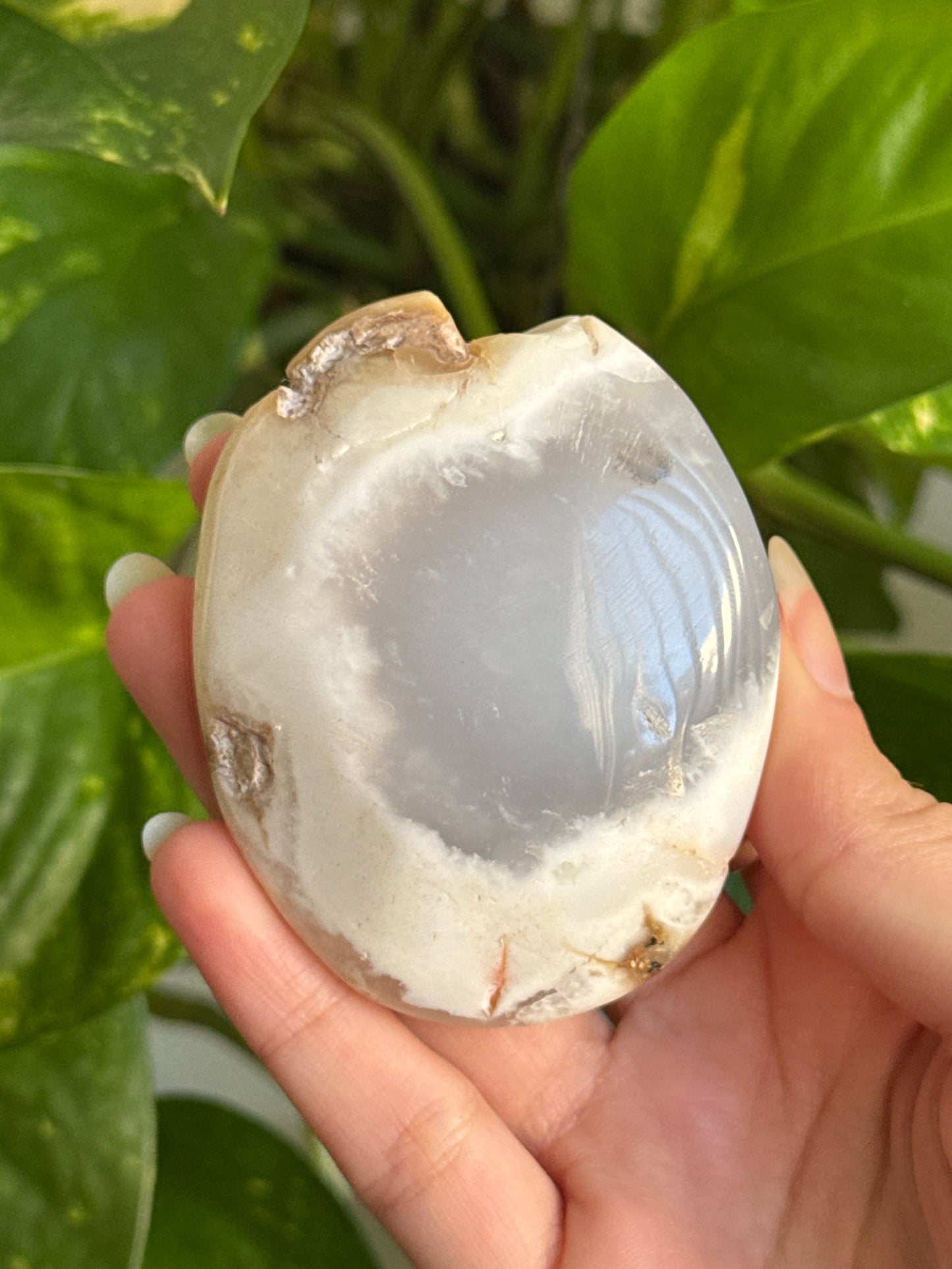 Blue Chalcedony Palmstone