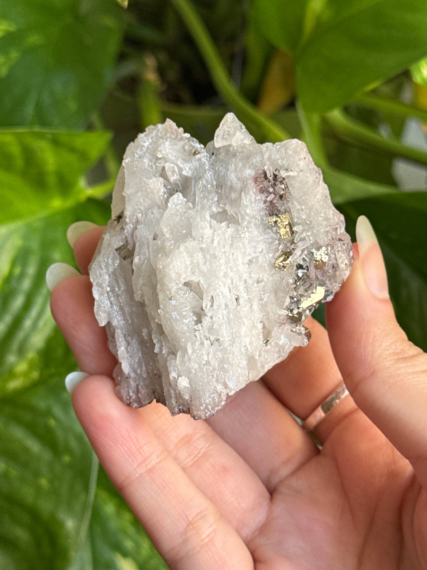 Cubic Pyrite on Quartz Specimen C