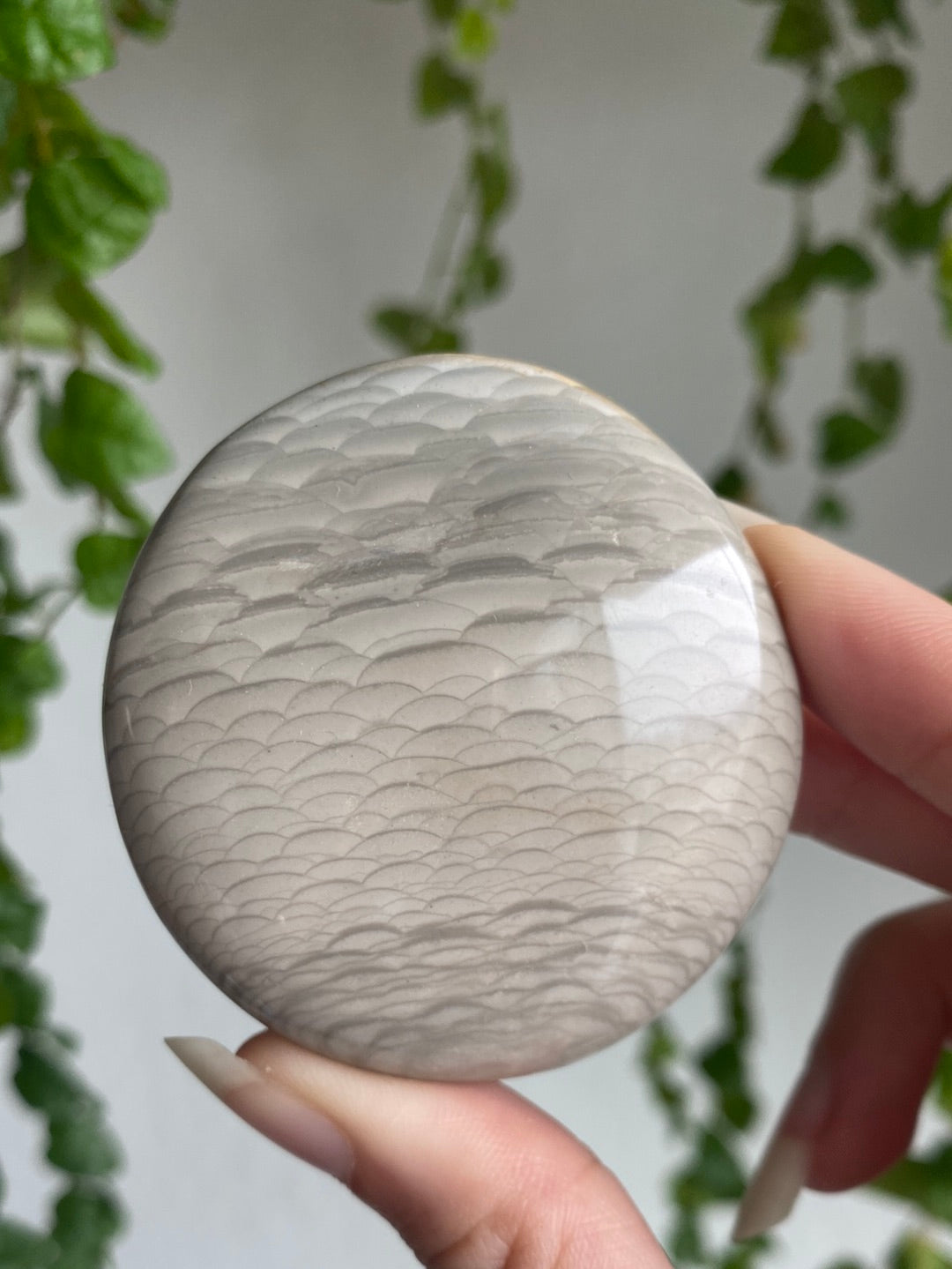 Feathered Agate Palmstone