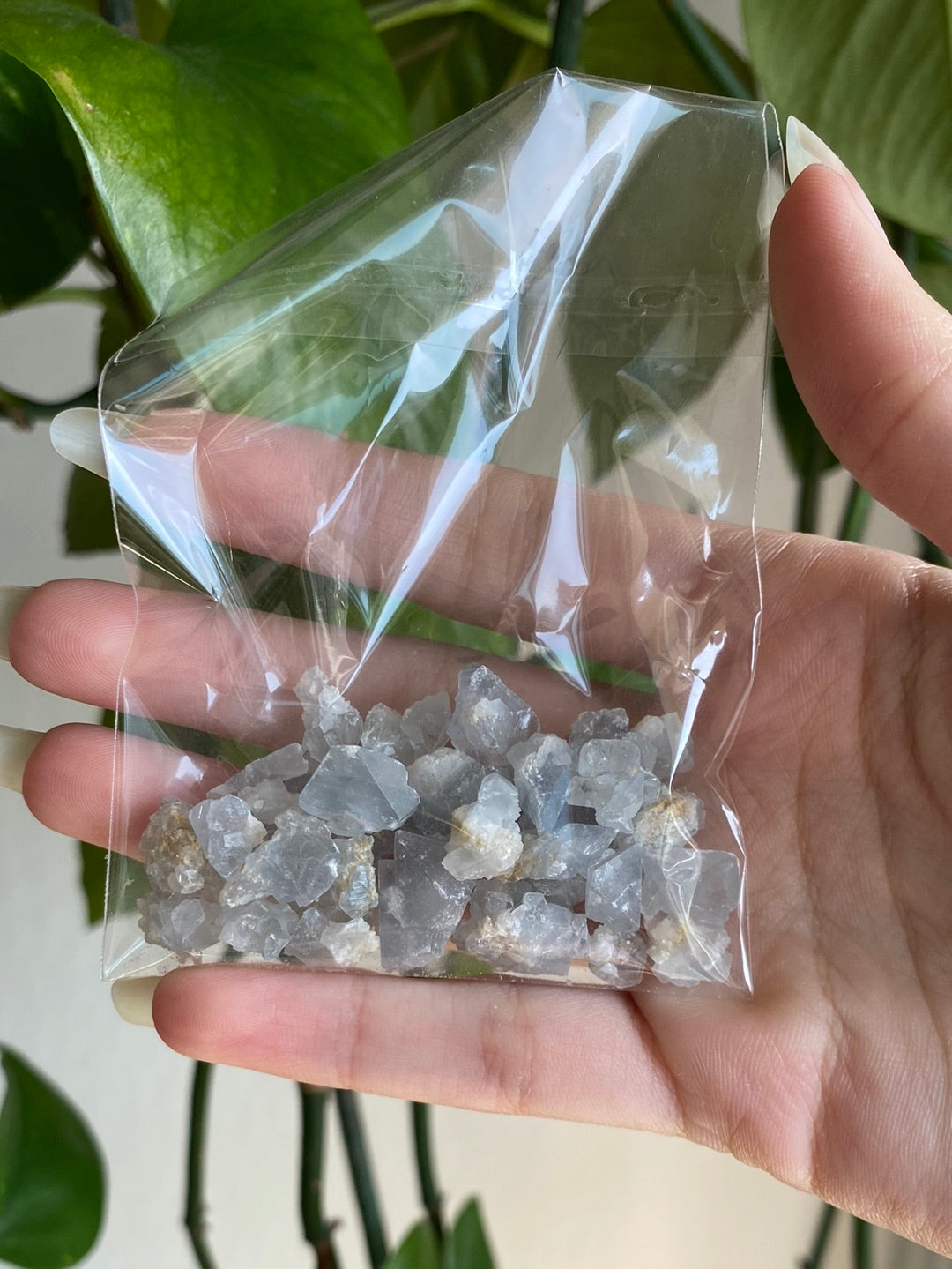 Celestite Points Grab Bag A
