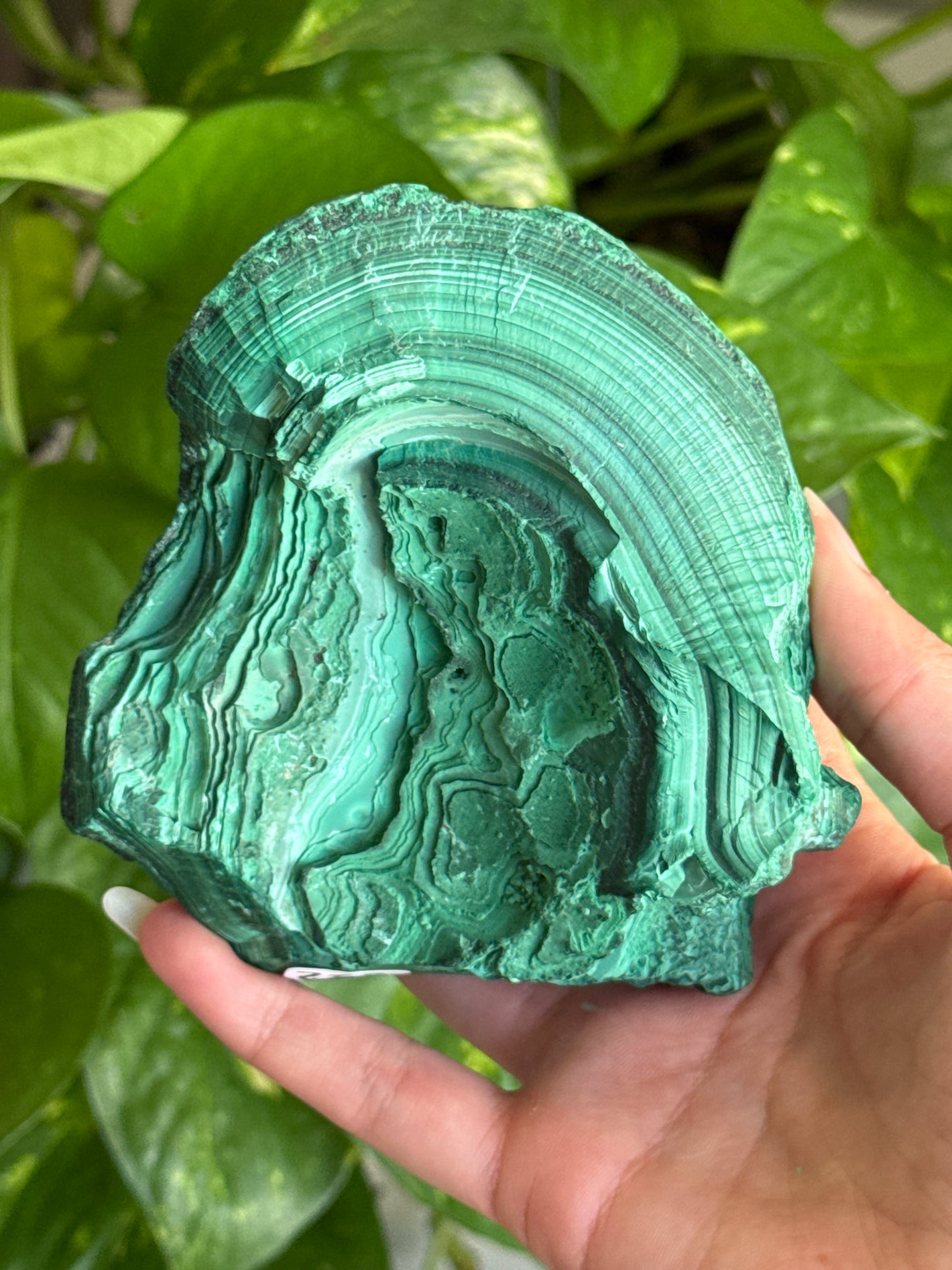 Large Half Polished Malachite Specimen