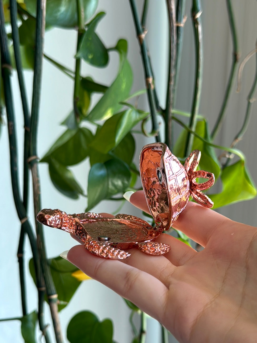 Rose Gold Turtle Trinket Sphere Stand *shell opens*